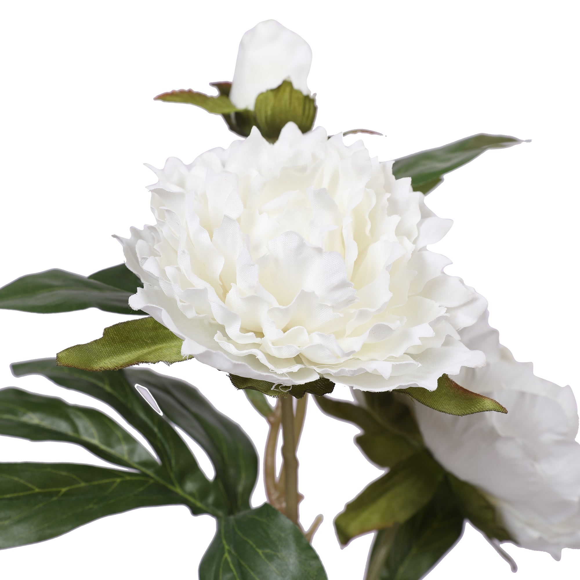 Blume Artificial Flower Peony Stem 74cm in White Colour By Living Essence