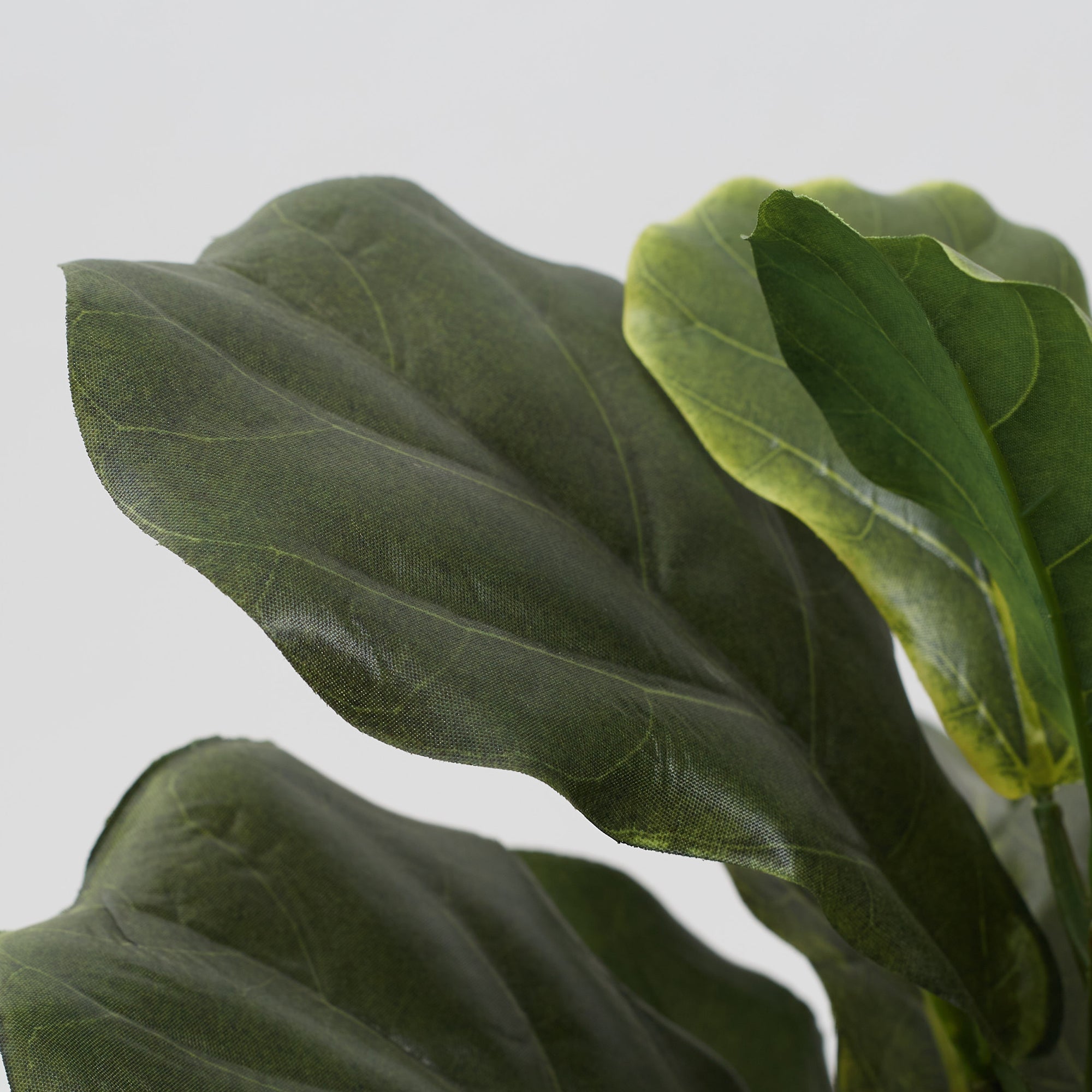 Ilana Faux Fiddle Ceramic Potted Plant 40 Cm in Green Colour
