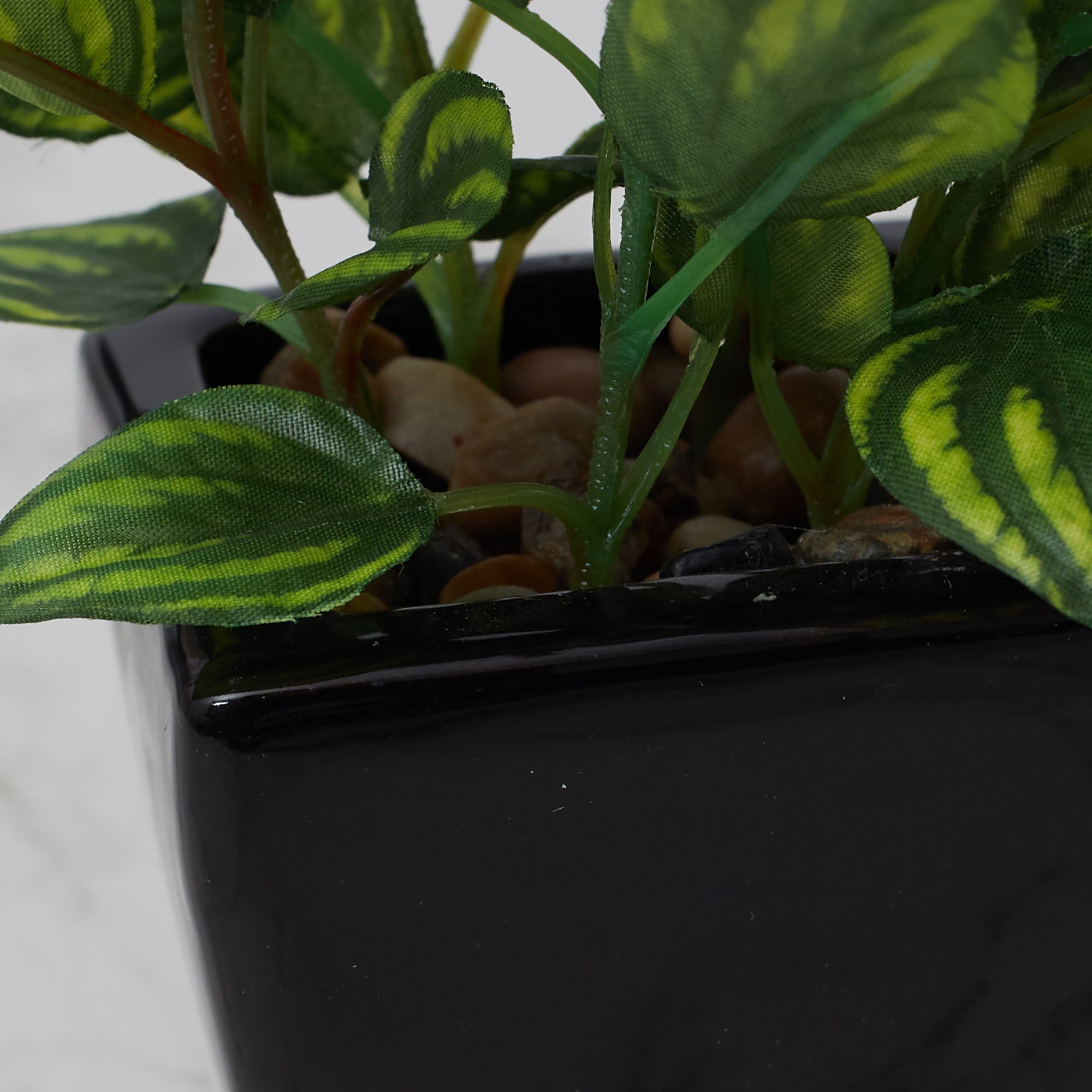 Ilana Faux Peperomia Ceramic Potted Plant 22 Cm in Green Colour
