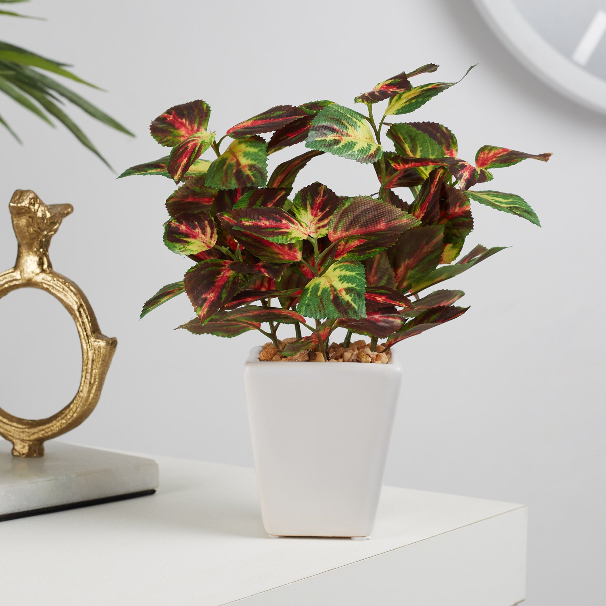 Ilana  Faux Coleus Ceramic Potted Plant 19 Cm in Green Colour