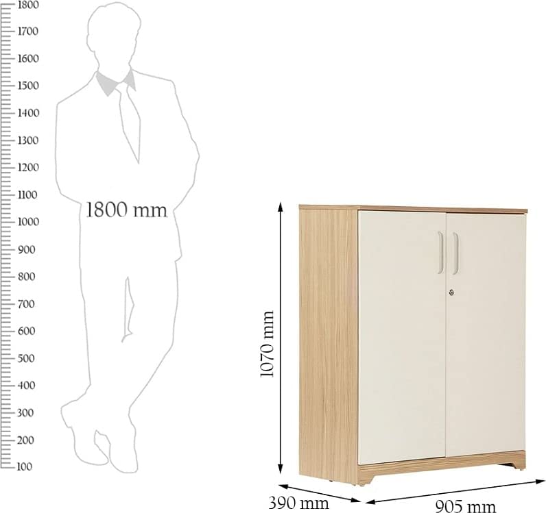 Ambra Engineered Wood Shoe Rack in Oak Colour