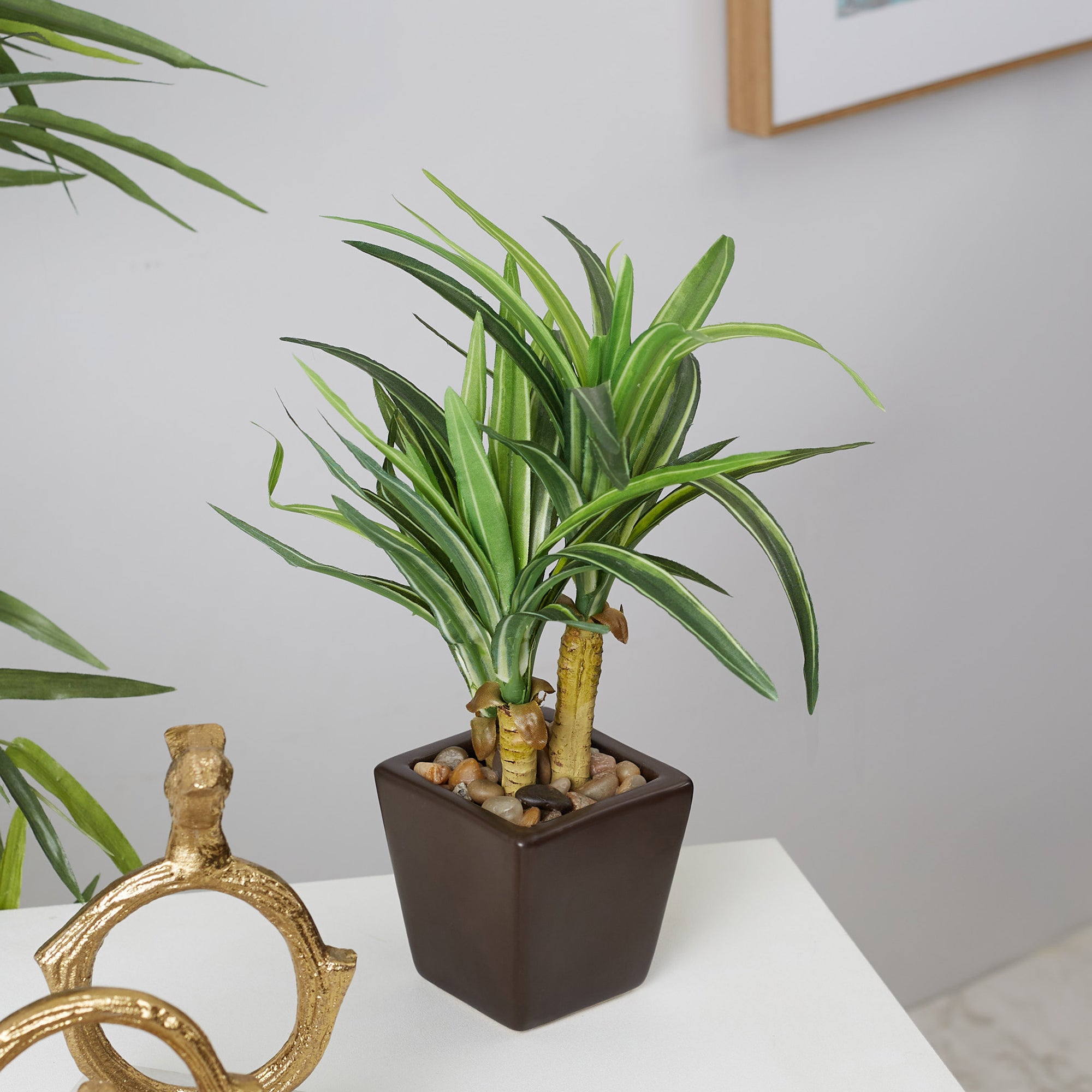 Ilana Faux Mini Dracaena 2 Ceramic Potted Plant 24 Cm in Green Colour
