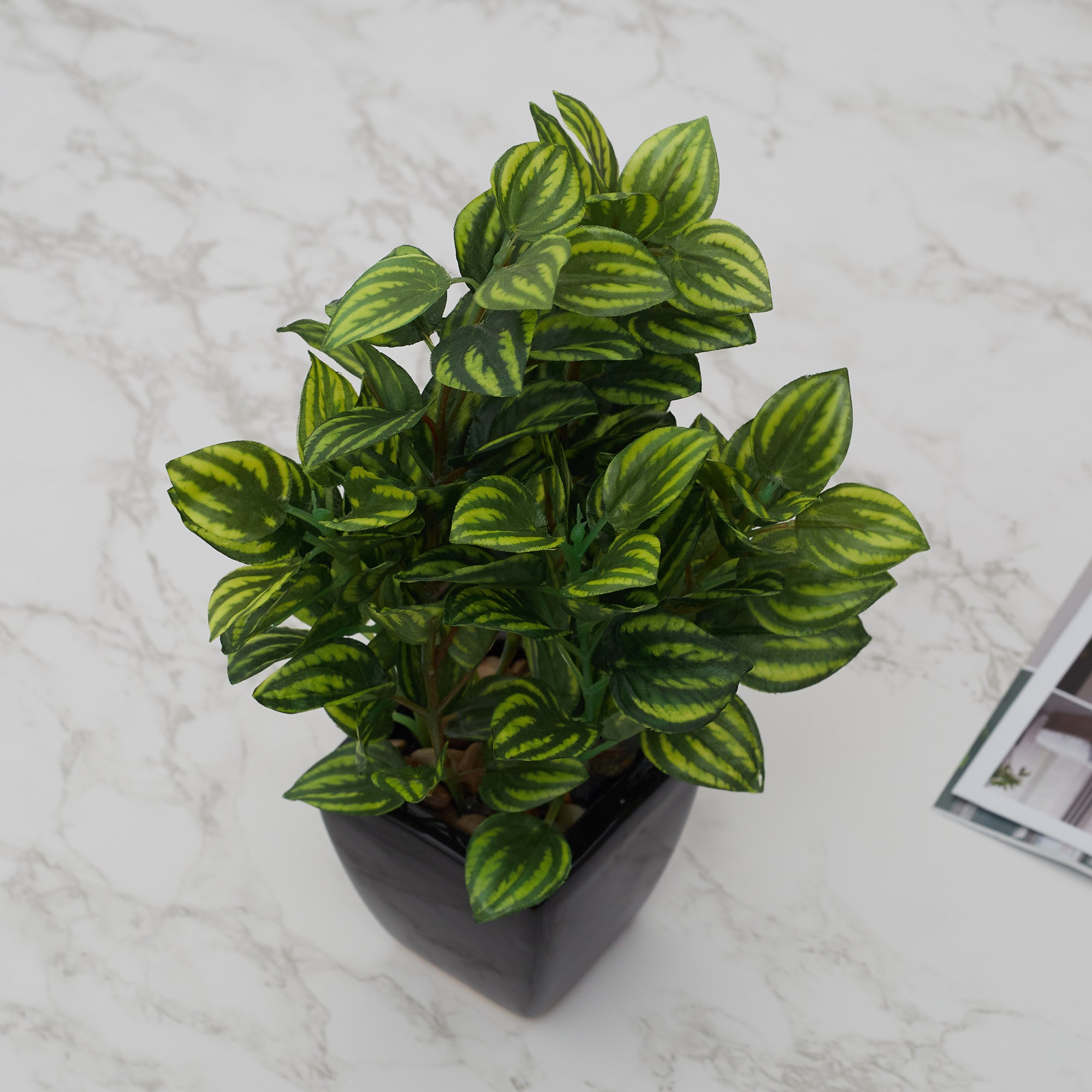 Ilana Faux Peperomia Ceramic Potted Plant 22 Cm in Green Colour