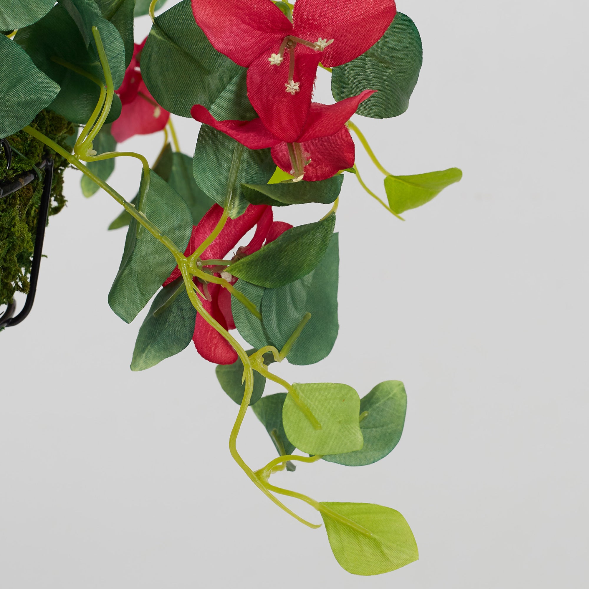 Ilana Faux Hanging Bougainvillea With Pot 54 Cm in Fuschia Colour
