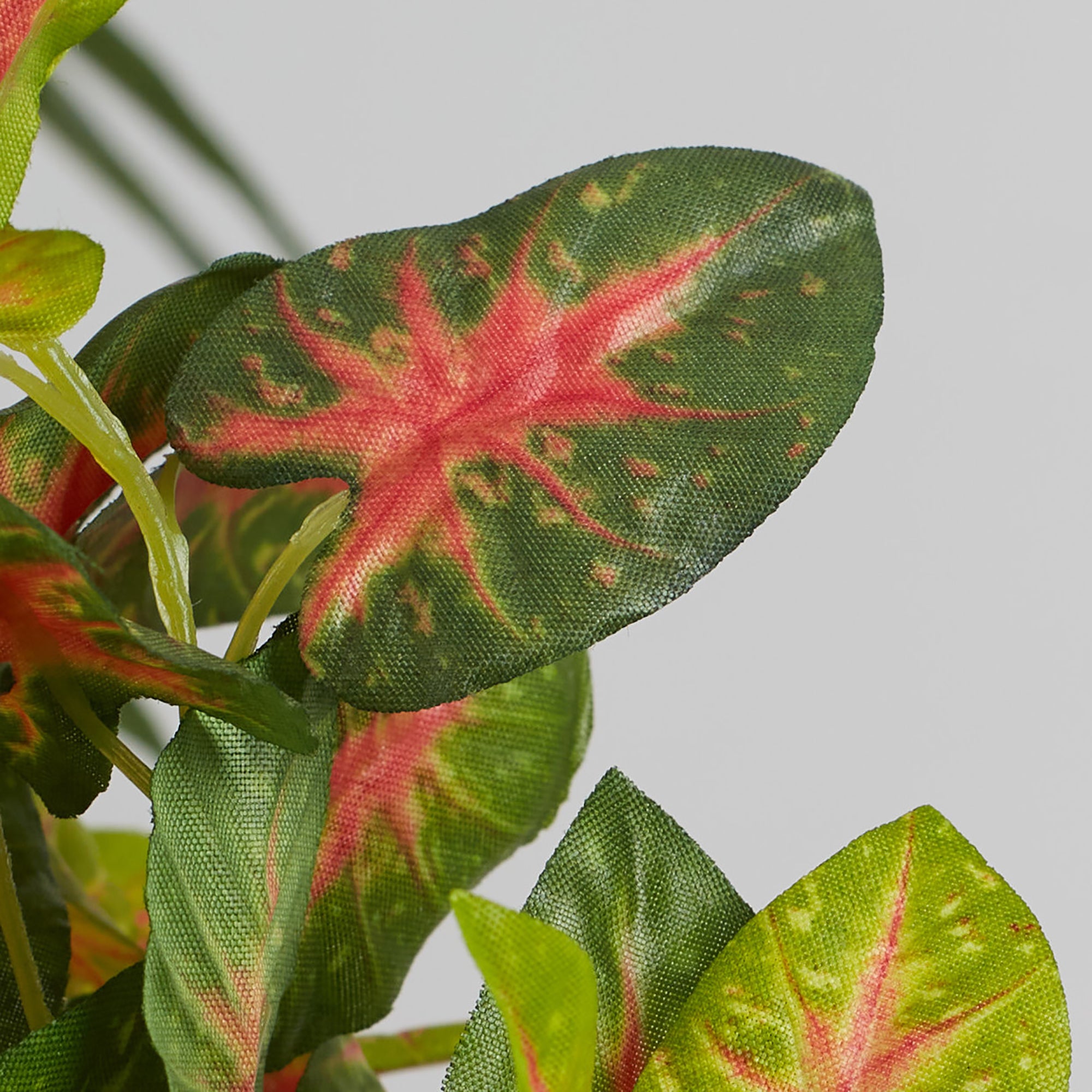Ilana  Faux Caladium Ceramic Potted Plant 19 Cm in Green Colour