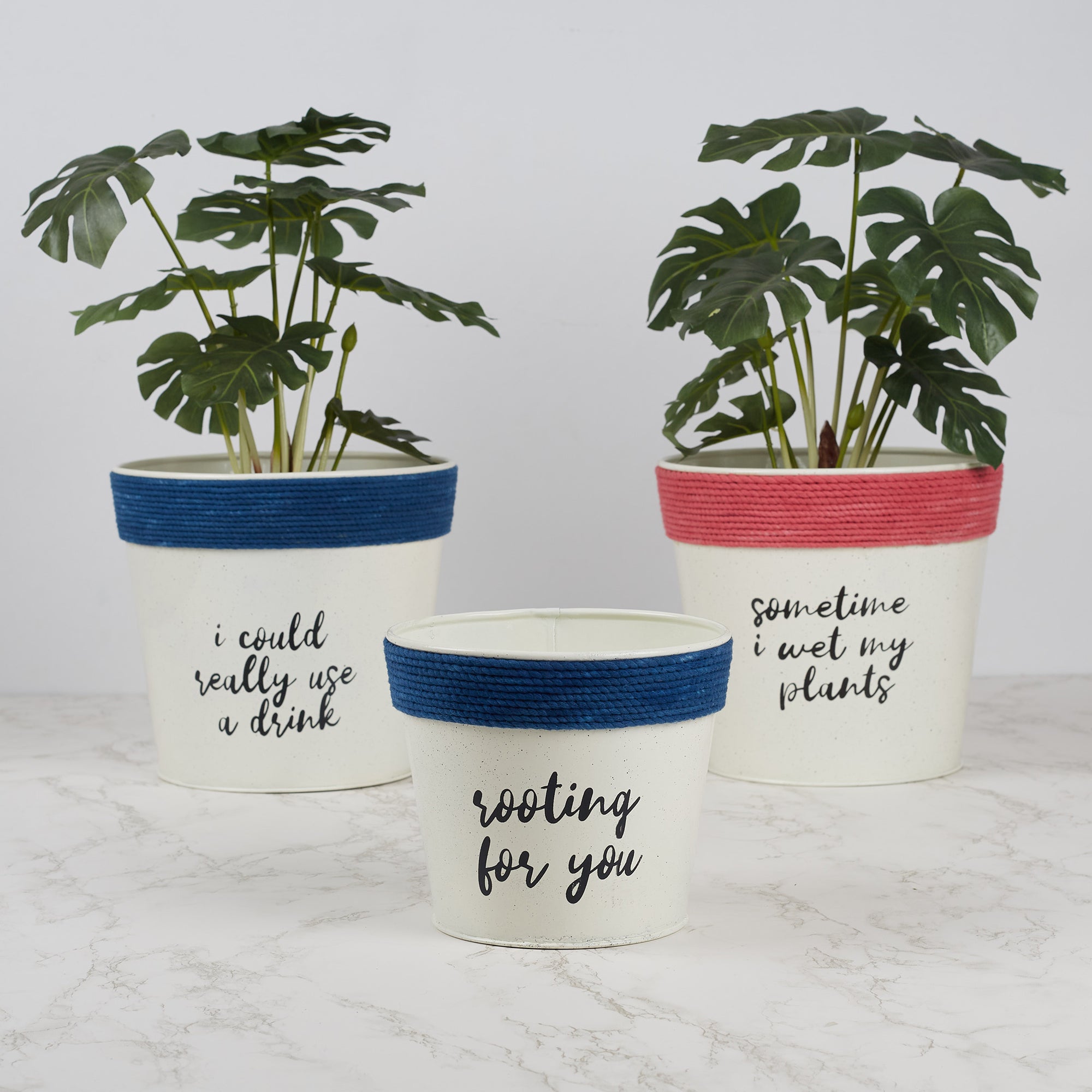 Pep Pop Metal Funky Quote Planter 19Cm in Off White & Indigo Colour