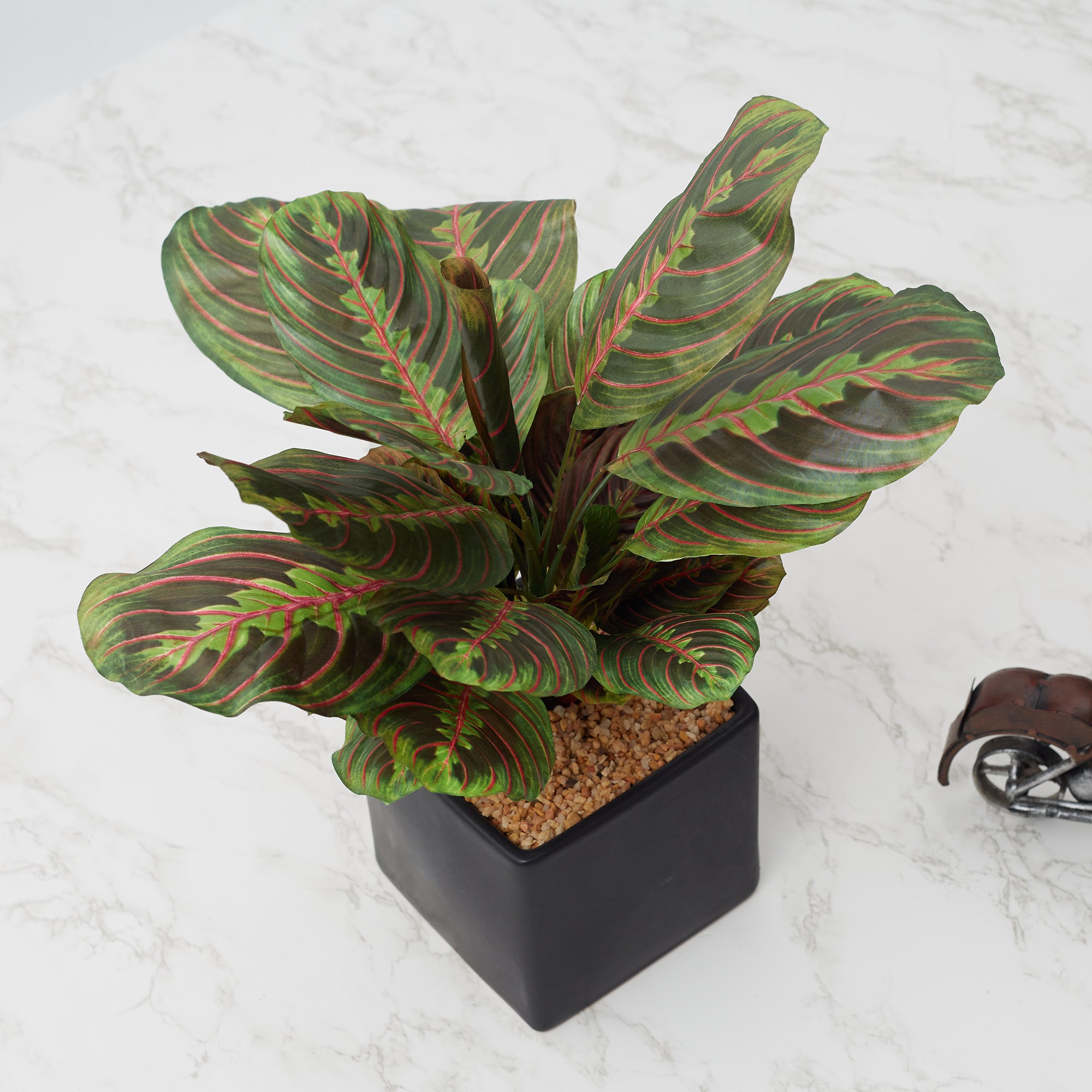 Ilana Faux Maranta Ceramic Potted Plant 45 Cm in Green Colour