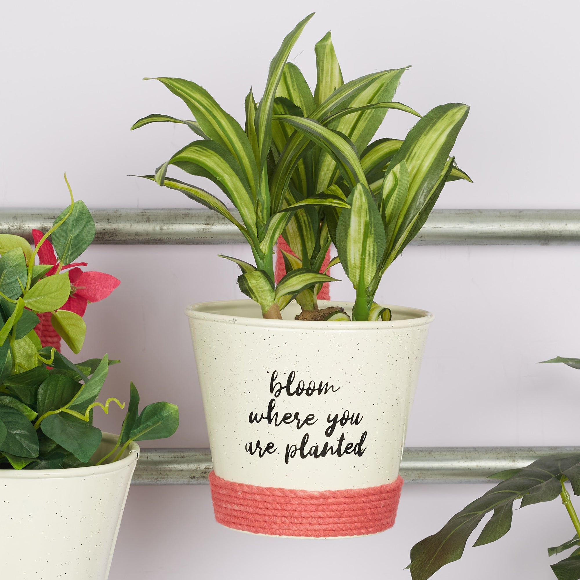 Pep Pop Metal Funky Quote Railing Planter 19Cm in Off White & Fuchsia Colour