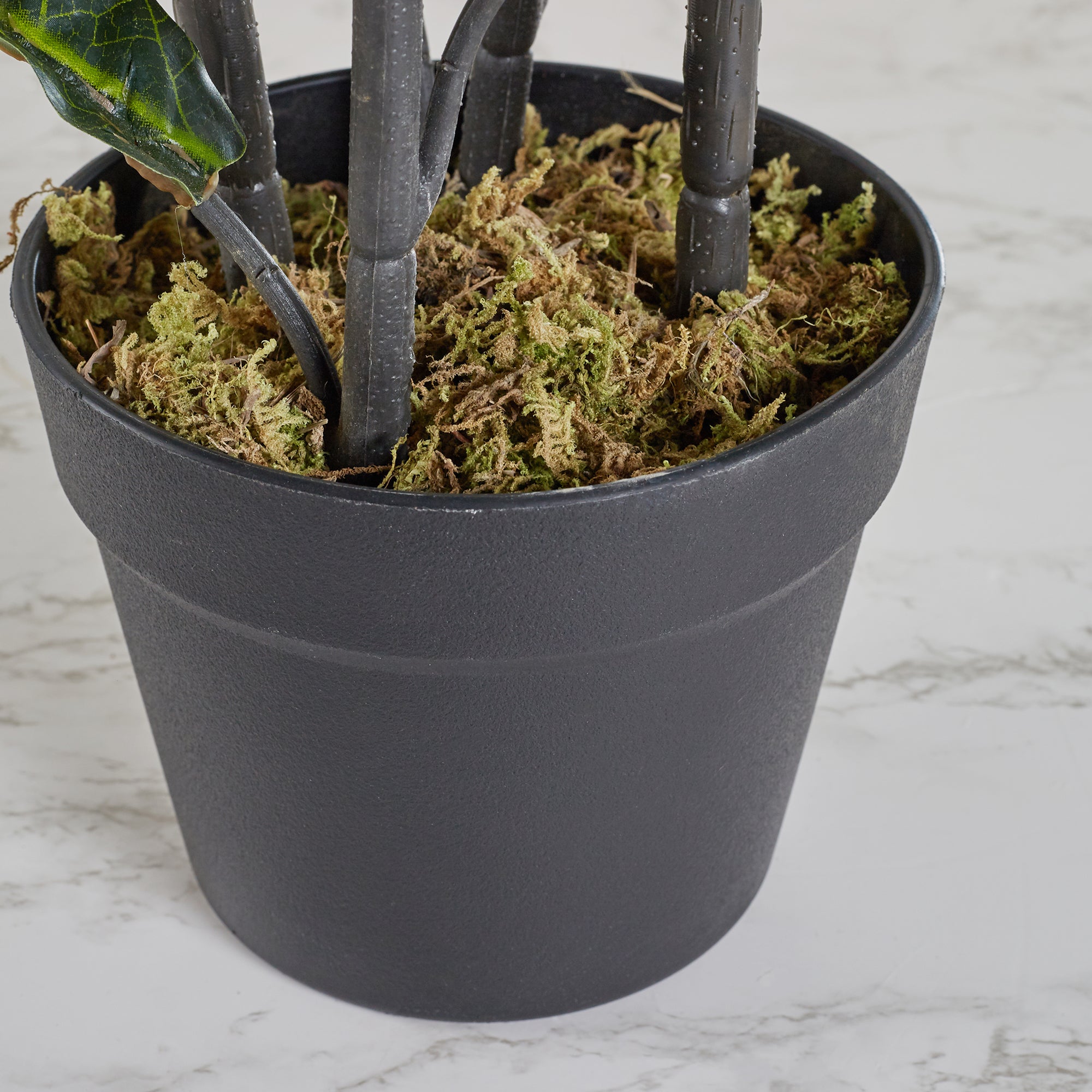 Ilana Artificial Fiddle Potted Plant 90Cm in Green Colour