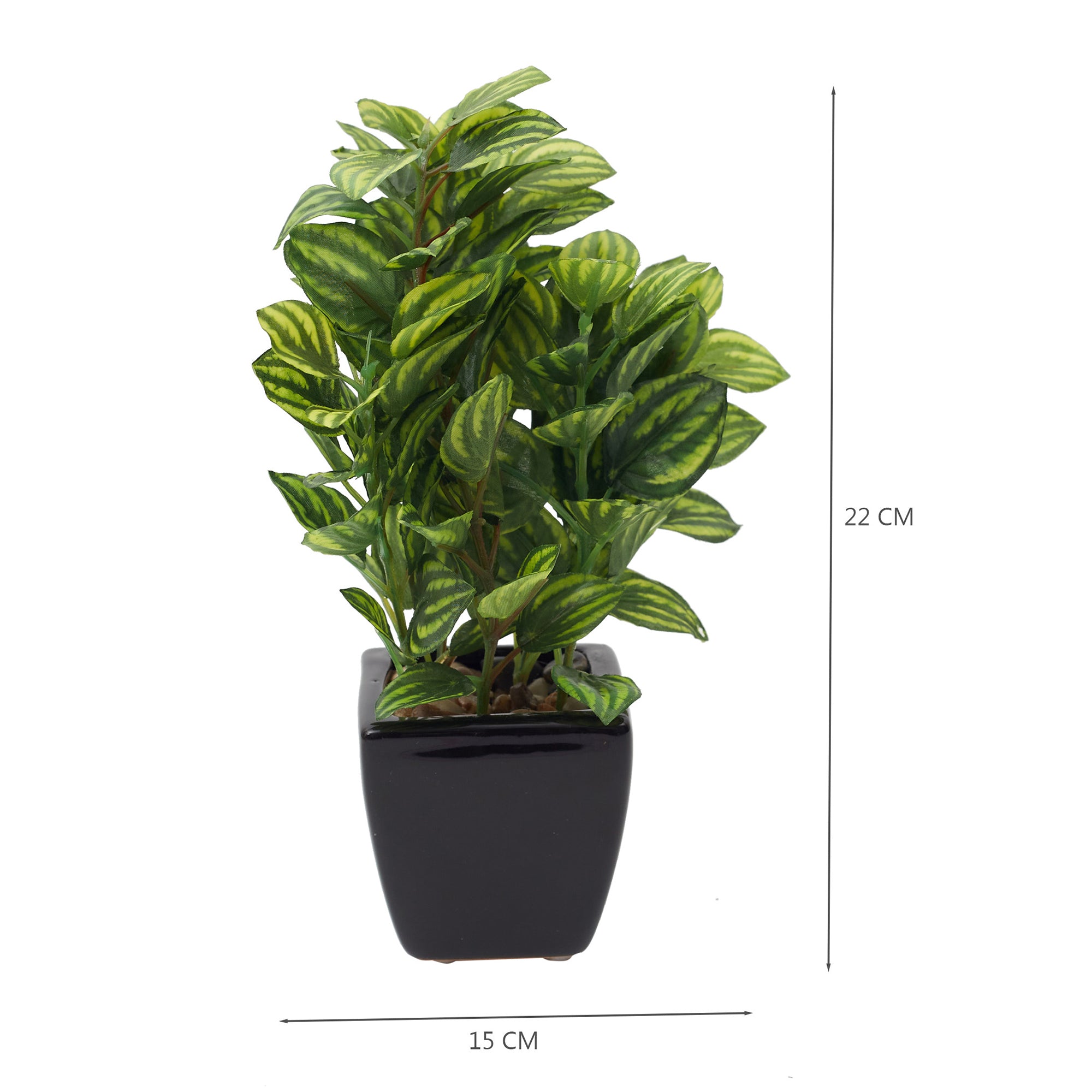 Ilana Faux Peperomia Ceramic Potted Plant 22 Cm in Green Colour