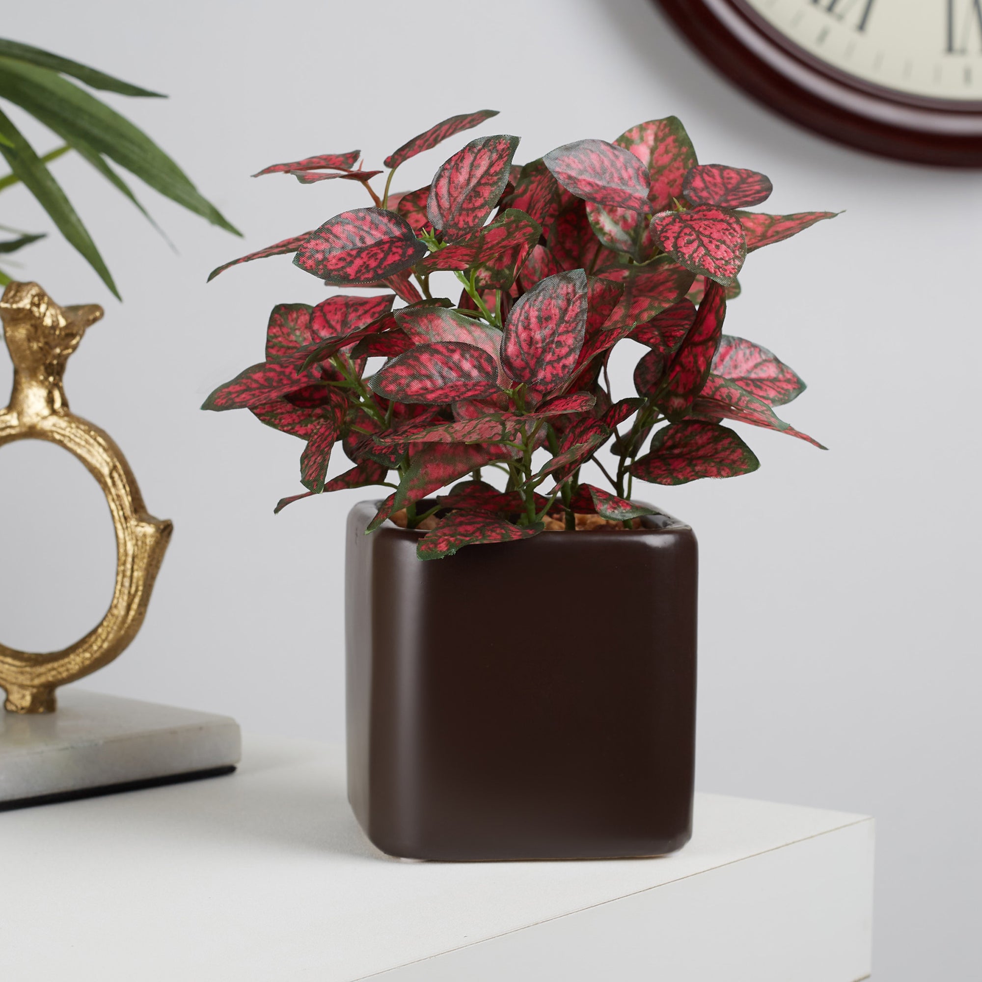 Ilana Faux Hypoestes Ceramic Potted Plant 20 Cm in Red Colour
