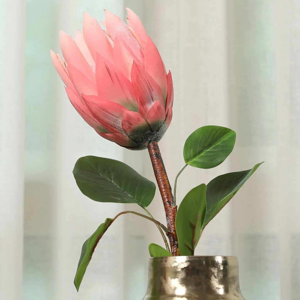 Blume Artificial Flower Protea Stem 66cm in Peach Colour By Living Essence