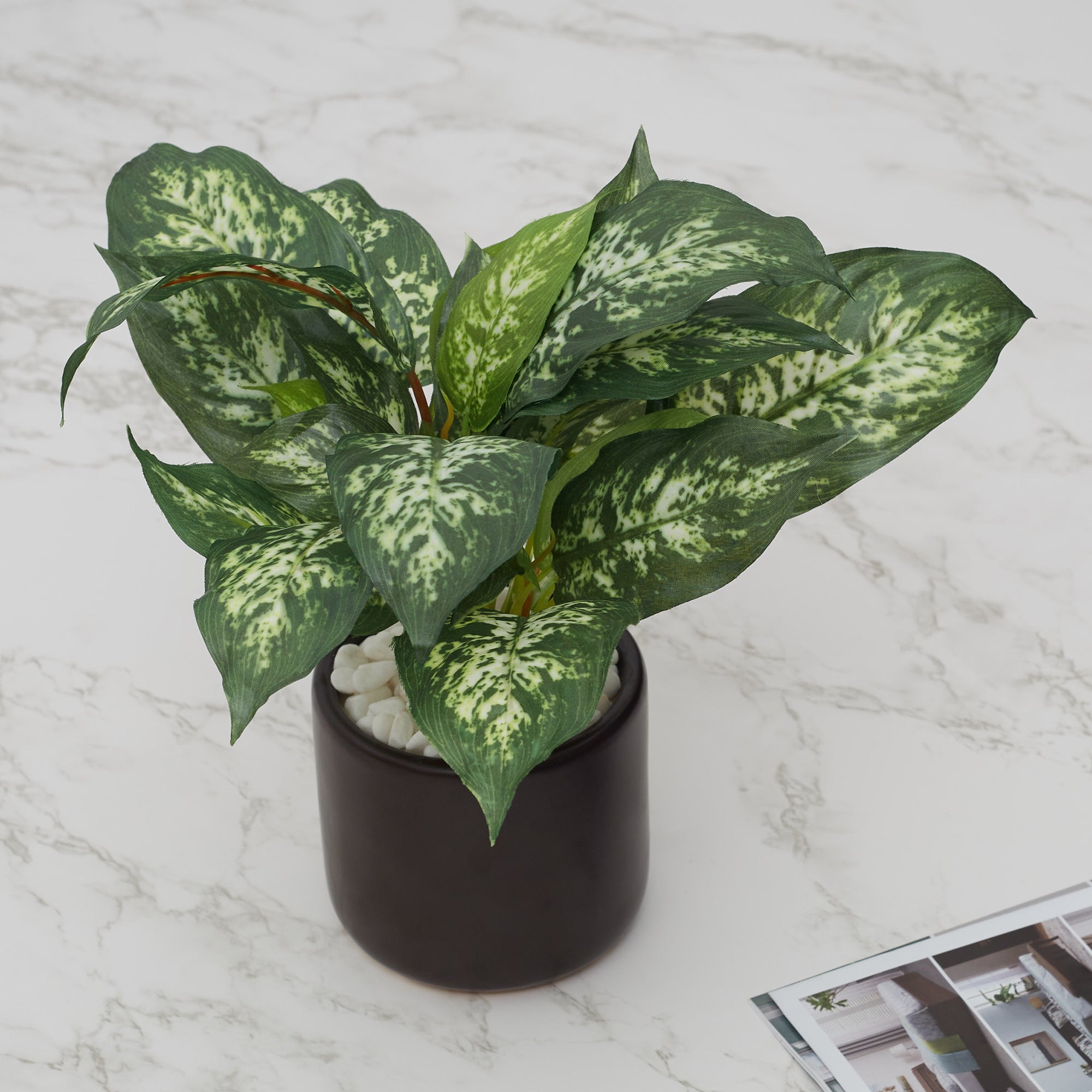 Ilana  Faux Dieffnbchia 1 Ceramic Potted Plant 25 Cm in Green Colour