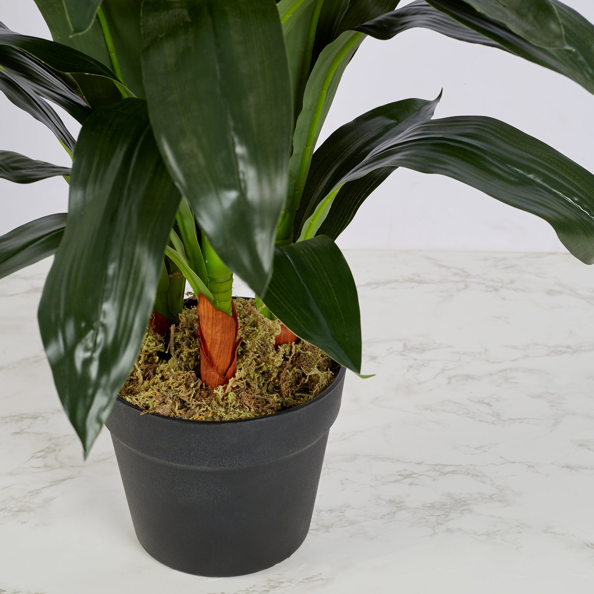 Ilana Artificial Cordate Potted Plant 90Cm in White Colour
