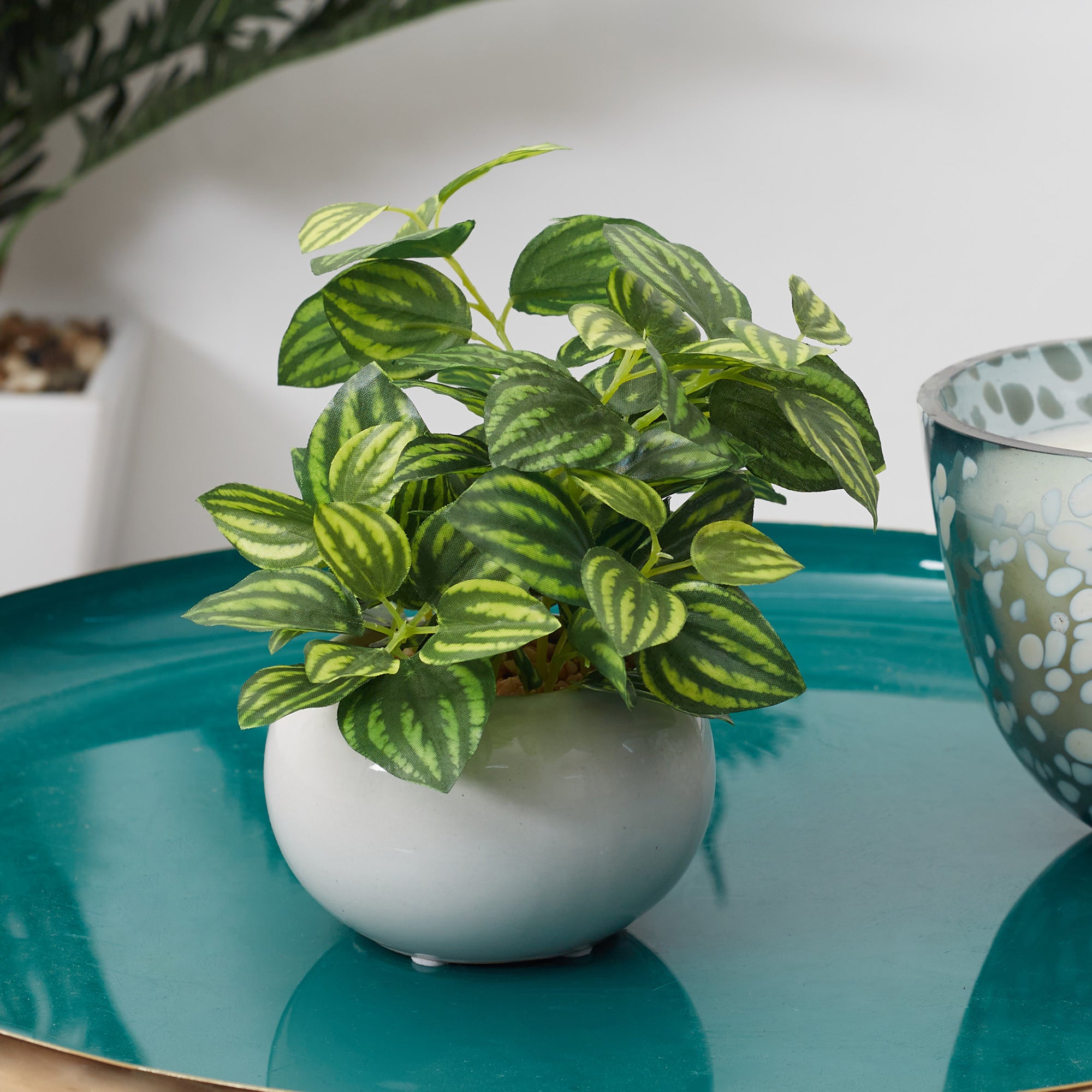 Ilana  Faux Peperomia Ceramic Potted Plant 17 Cm in Green Colour