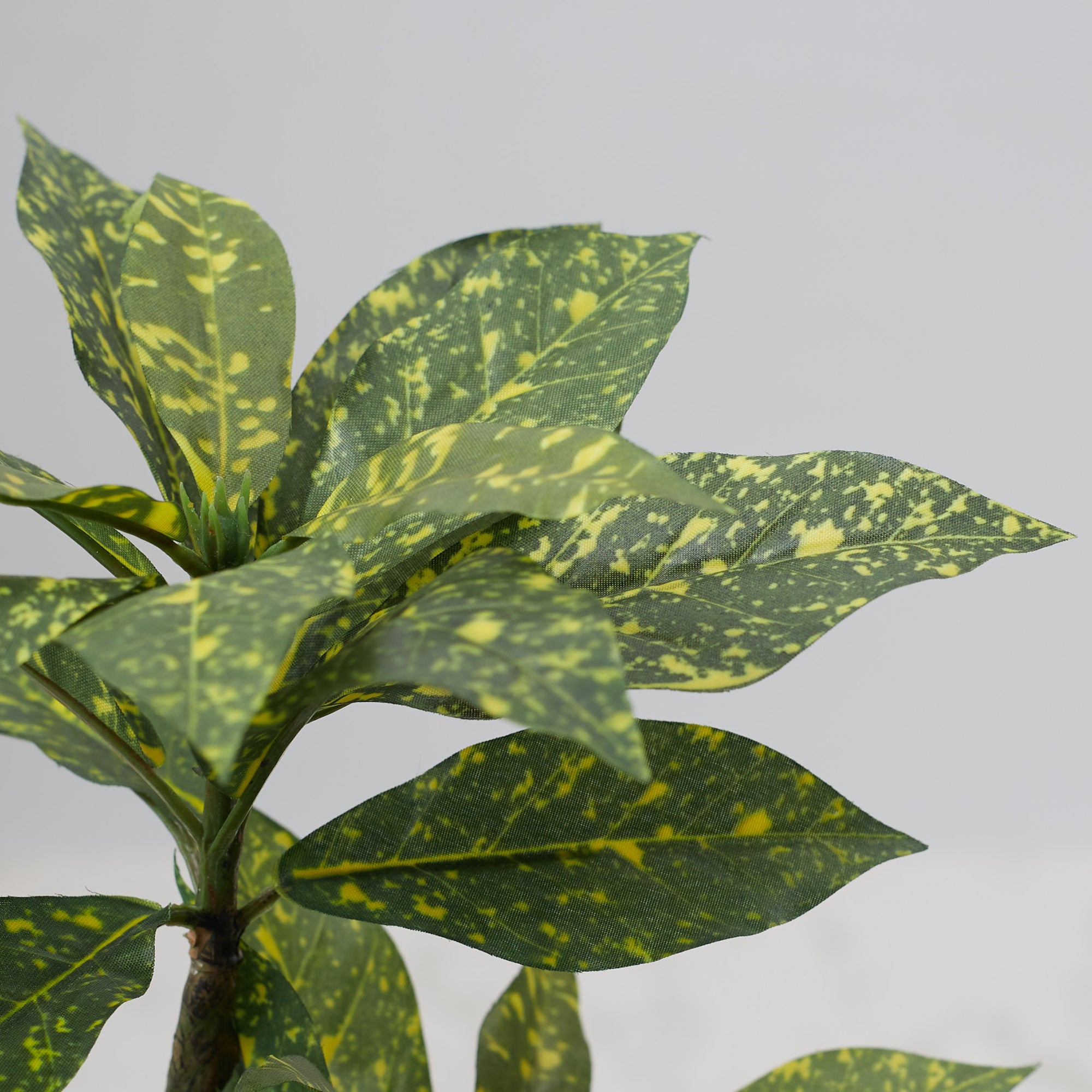 Ilana Faux Croton Ceramic Potted Plant 43 Cm in Green Colour