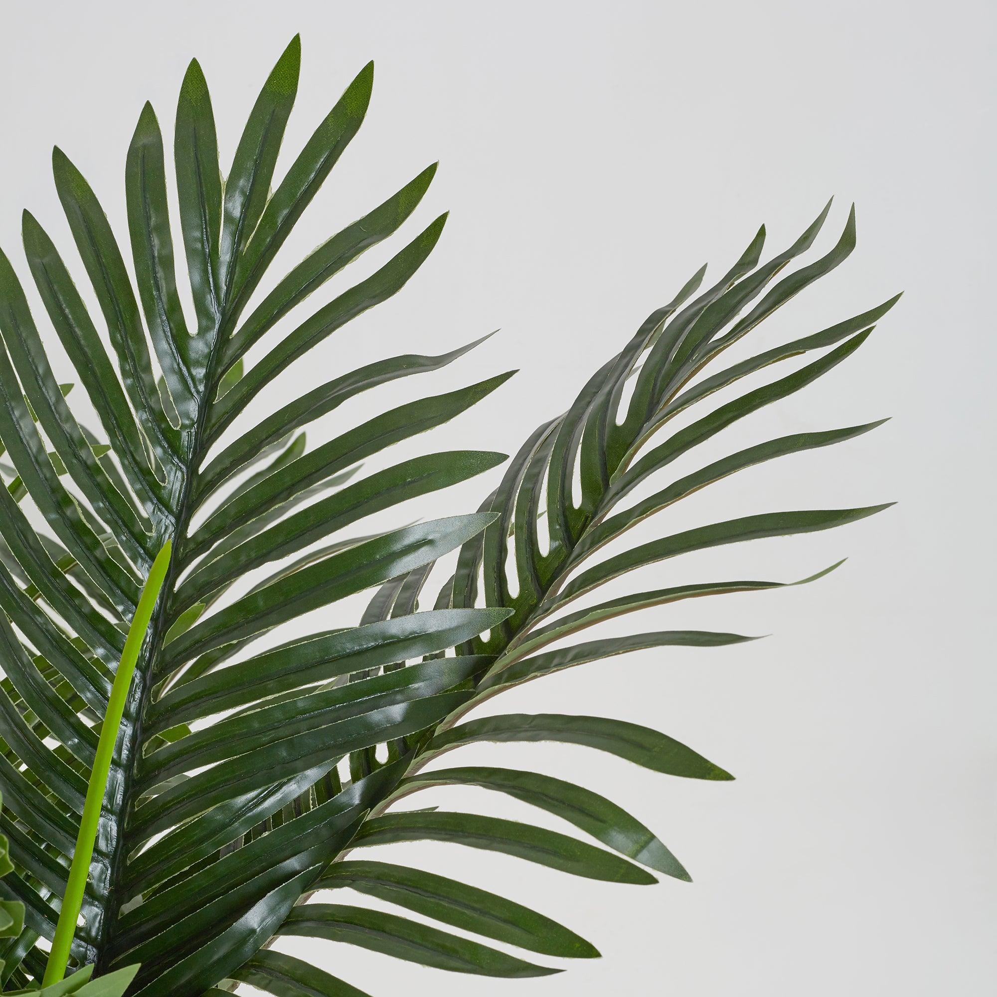 Ilana Artificial Palm Potted Tree 60Cm in Green Colour