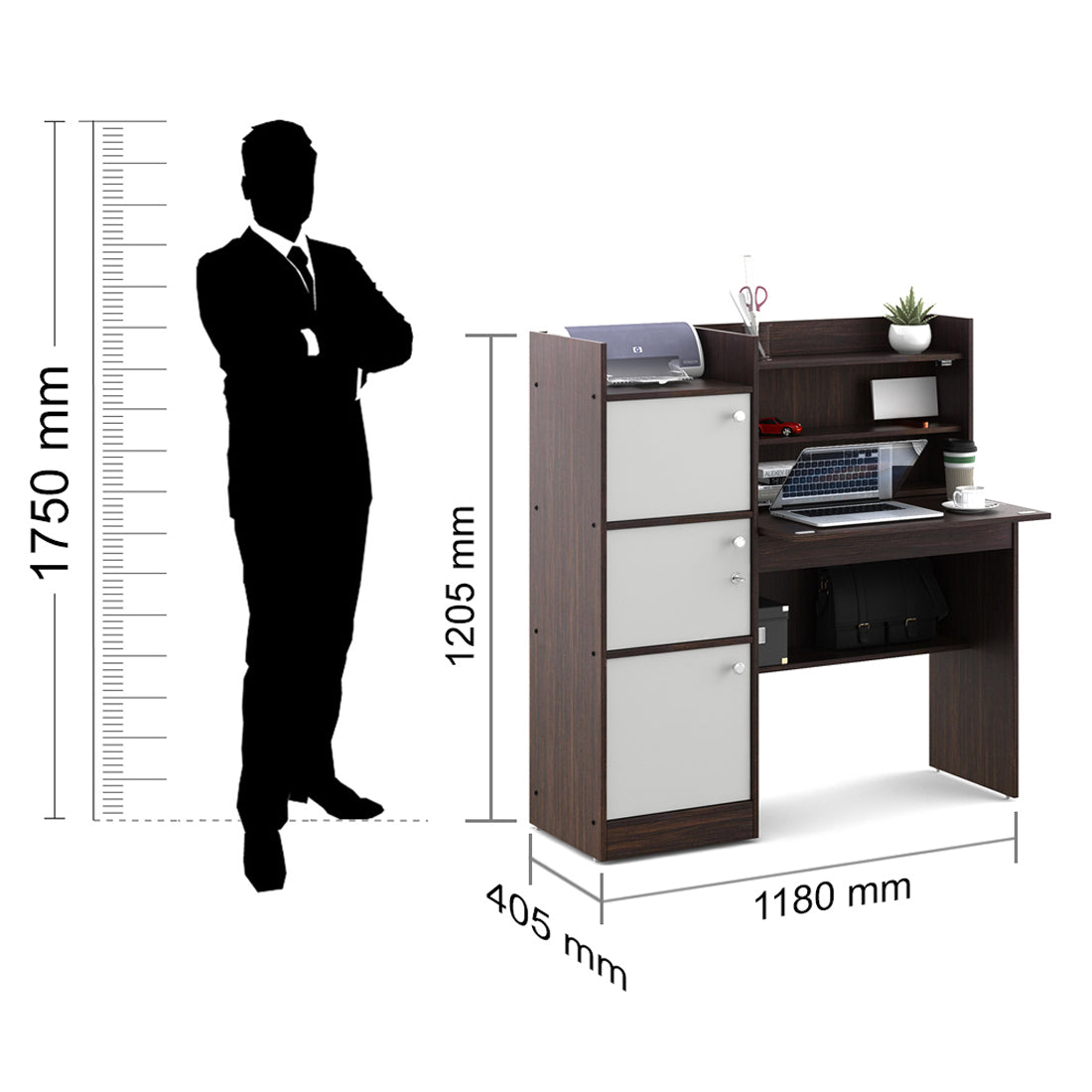 Venus Engineered Wood Study Table in Wenge & White Colour