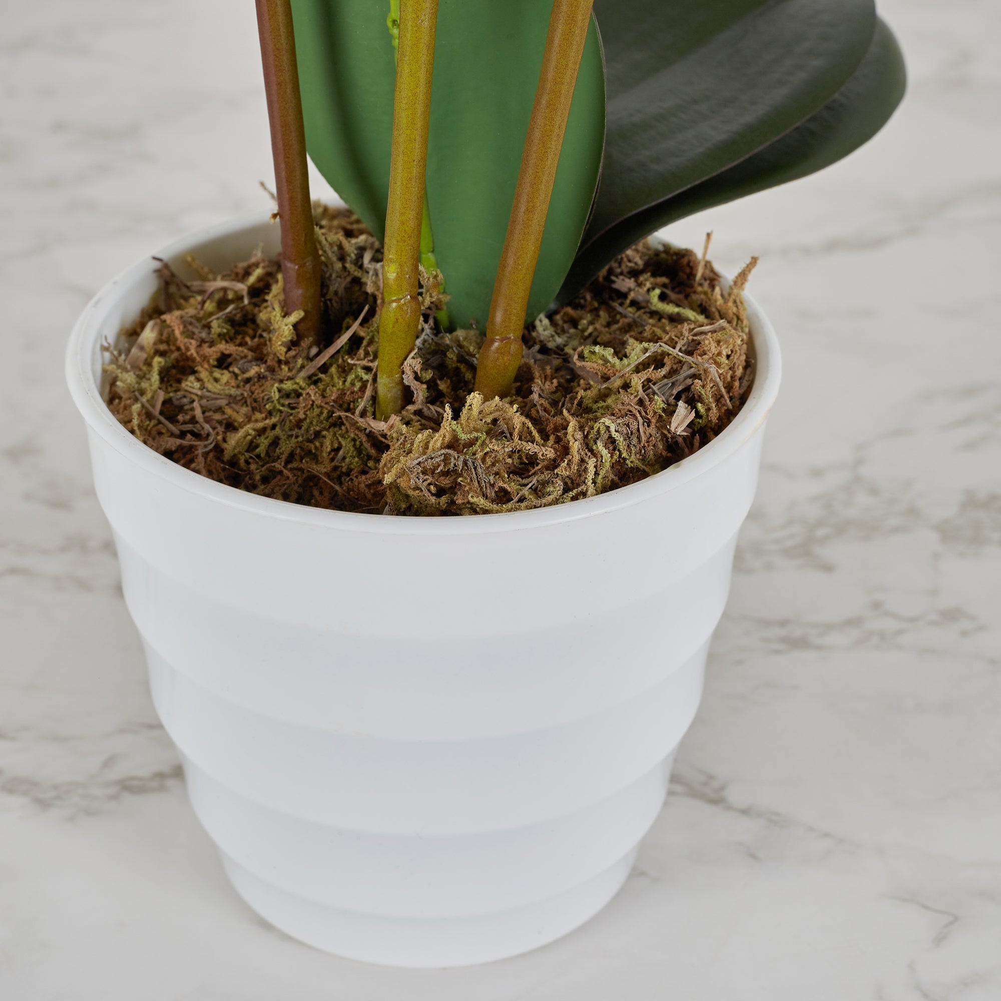 Ilana Artificial Orchid Potted Plant 55Cm in Pink Colour