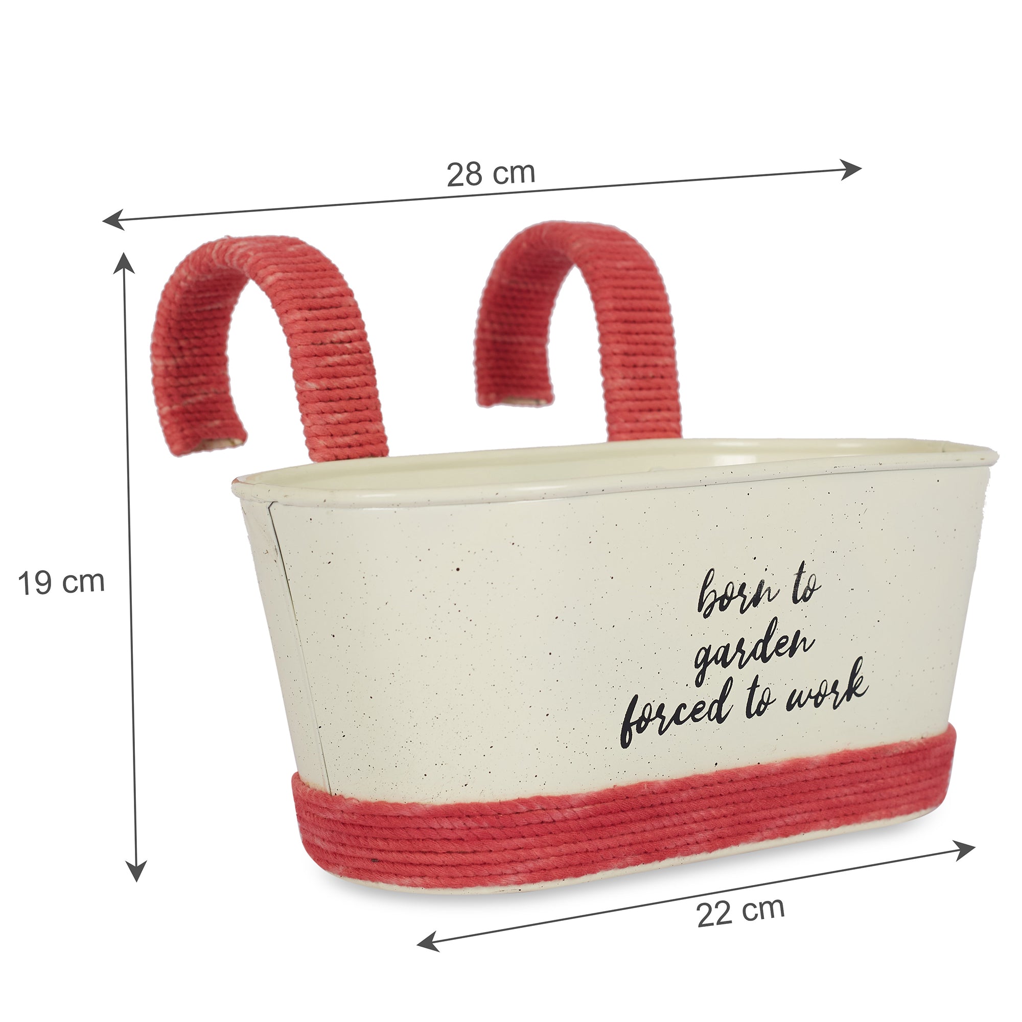 Pep Pop Metal Funky Quote Railing Planter 28X19Cm in Off White & Fuchsia Colour