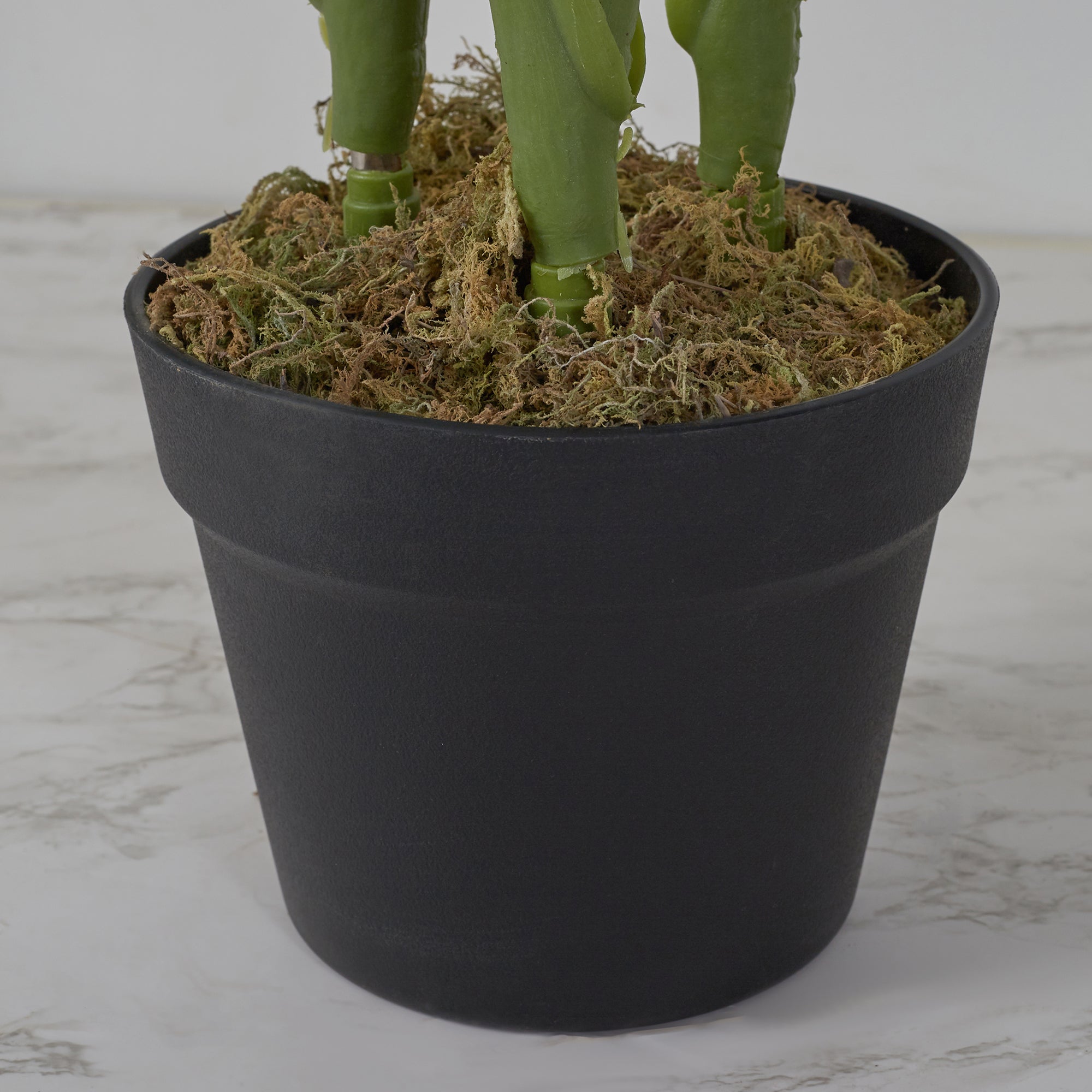 Ilana Artificial Paradise Bird Potted Plant 100Cm in Green Colour