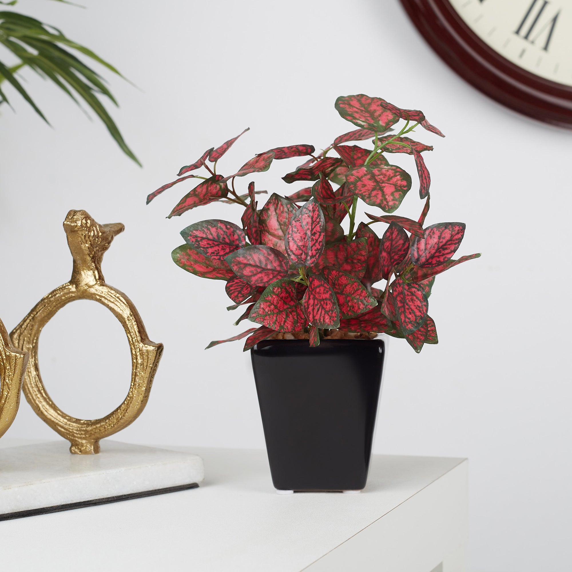 Ilana Faux Hypoestes Ceramic Potted Plant 19 Cm in Red Colour