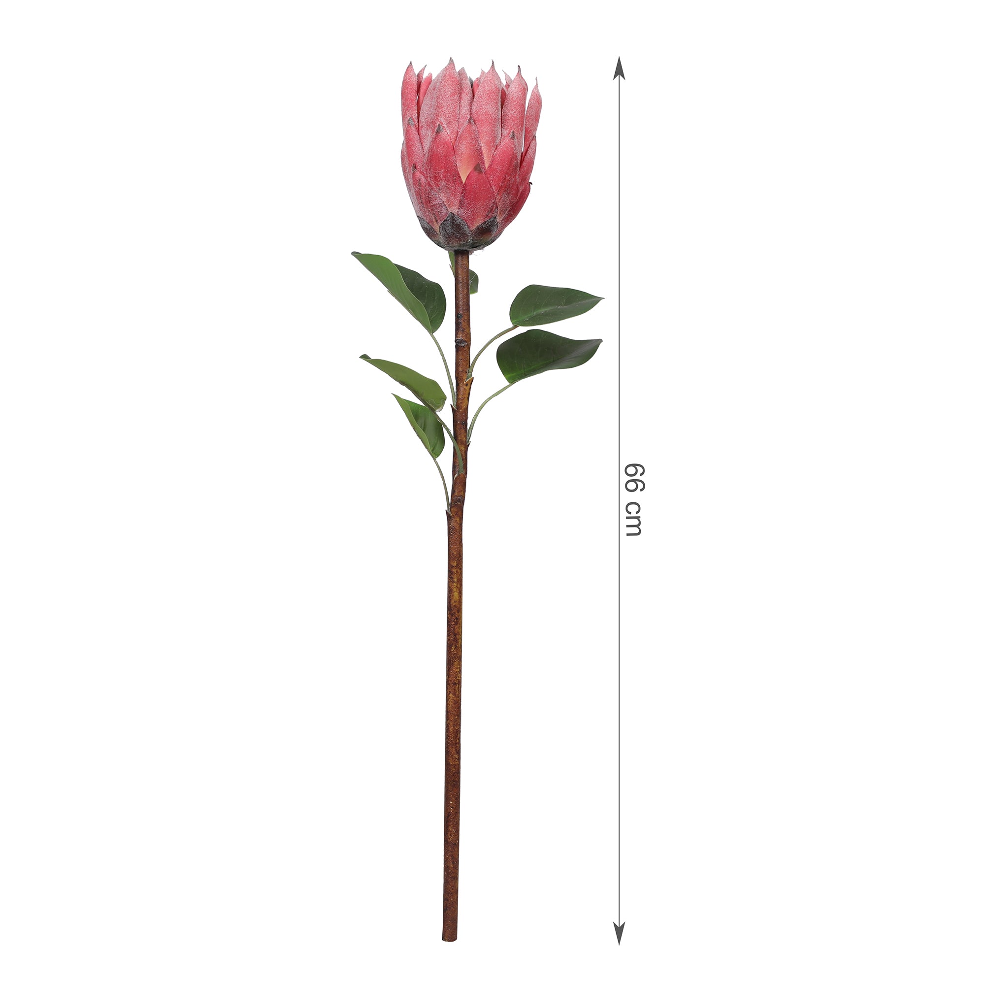 Blume Artificial Flower Protea Stem 66cm in Pink Colour By Living Essence