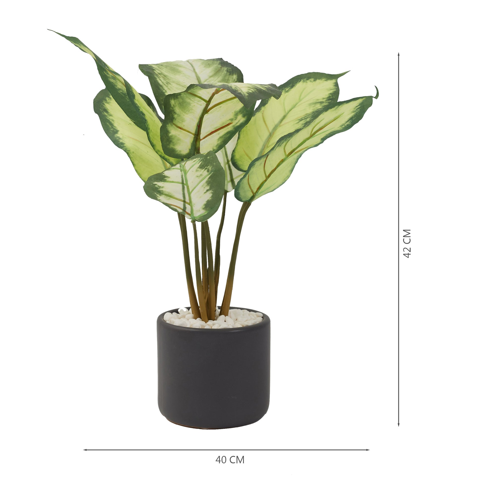 Ilana Faux Dieffenbachia Ceramic Potted Plant 42 Cm in Green Colour
