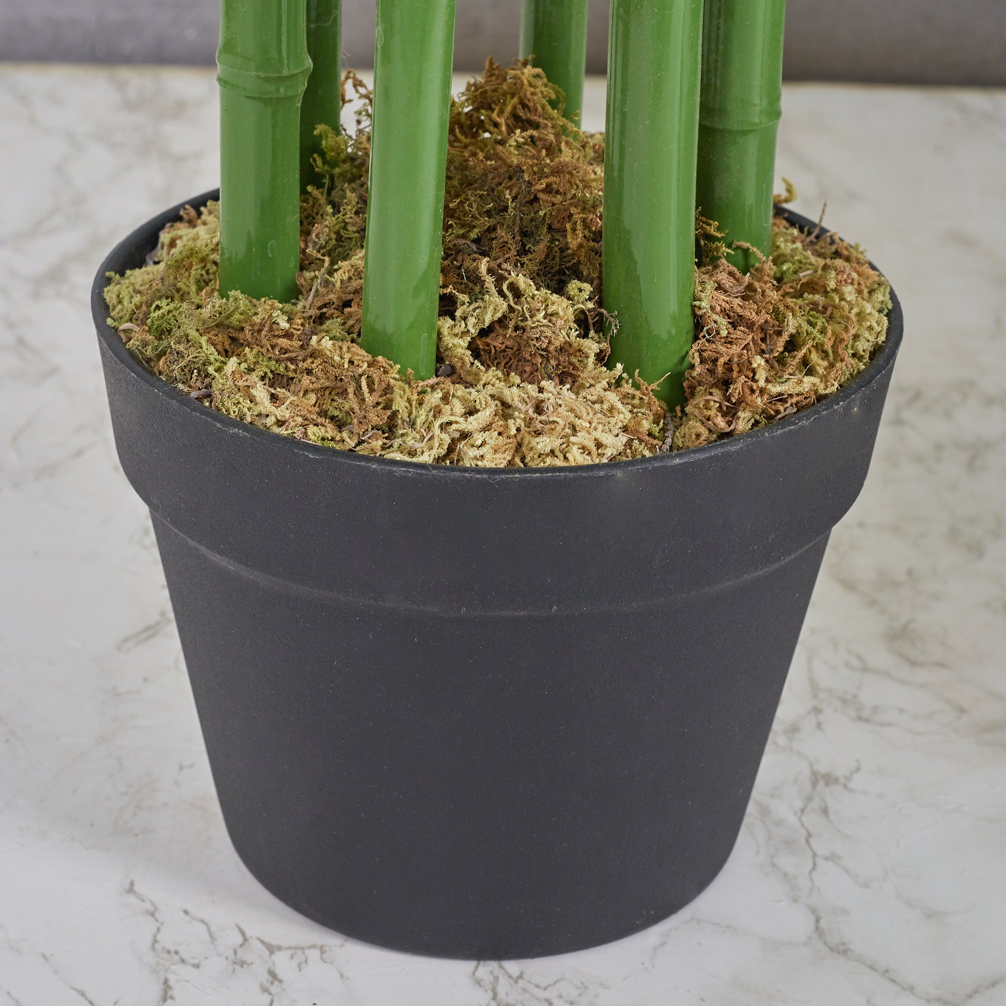 Ilana Artificial Bamboo Potted Tree 180Cm in Green Colour