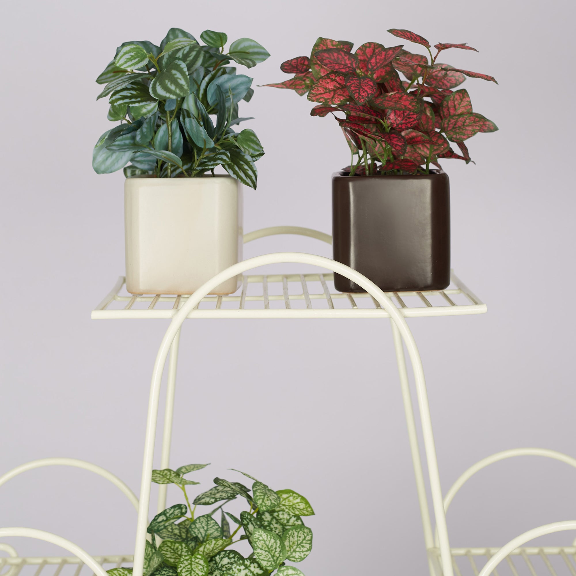 Ilana Faux Peperomia Ceramic Potted Plant 20 Cm in Green Colour
