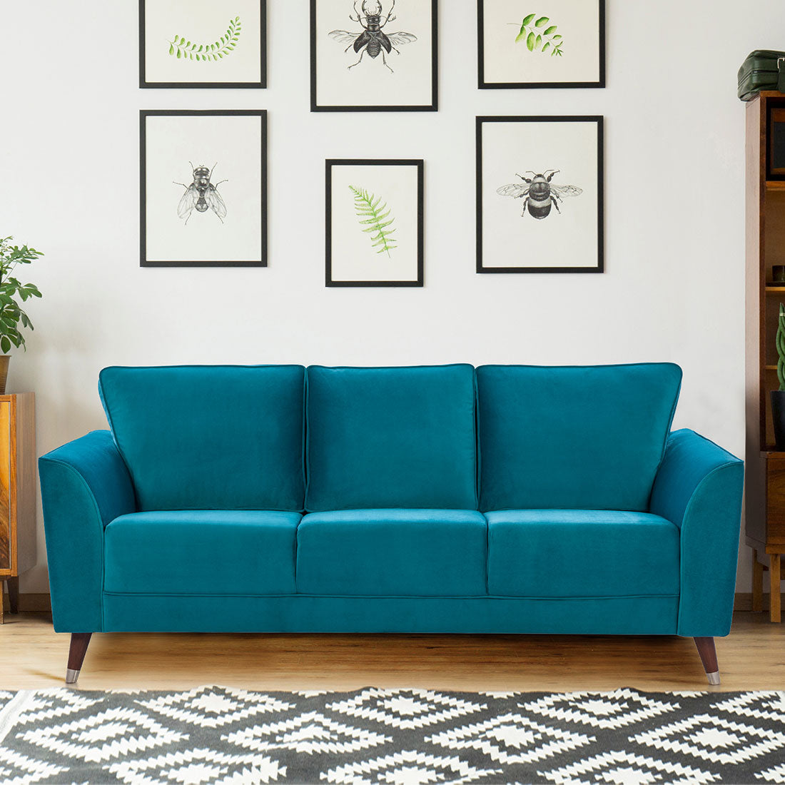 Magnific Velvet Three Seater Sofa in Green Colour