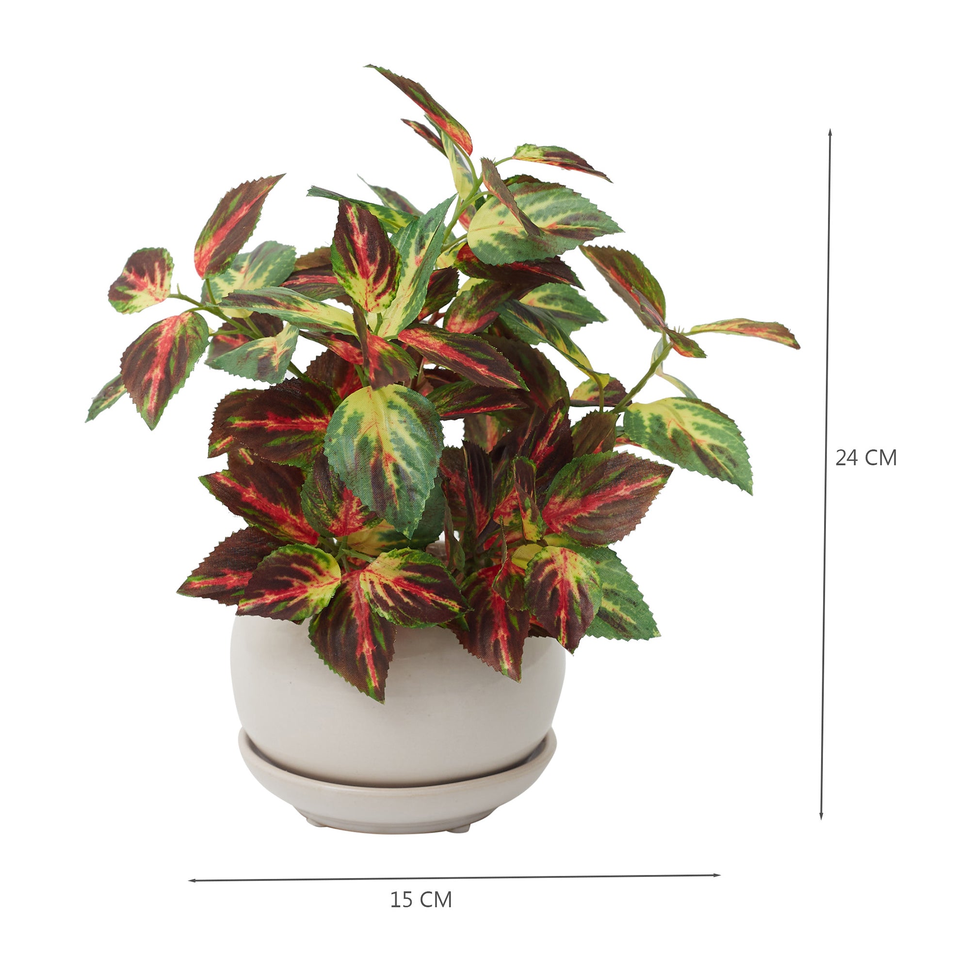 Ilana Faux Coleus Ceramic Potted Plant 24 Cm in Green Colour