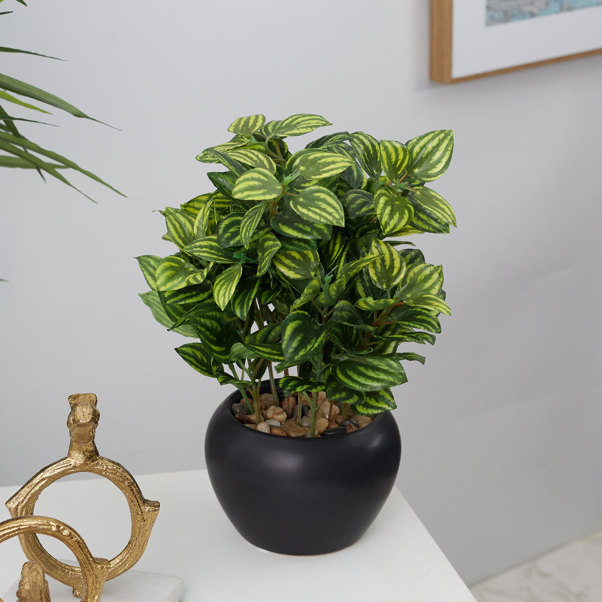 Ilana  Faux Peperomia Ceramic Potted Plant 27 Cm in Green Colour
