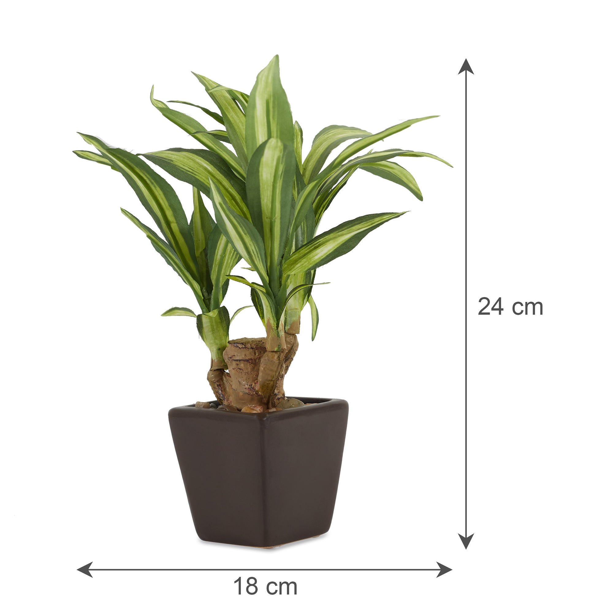 Ilana  Faux Mini Dracaena 1 Ceramic Potted Plant 24 Cm in Green Colour