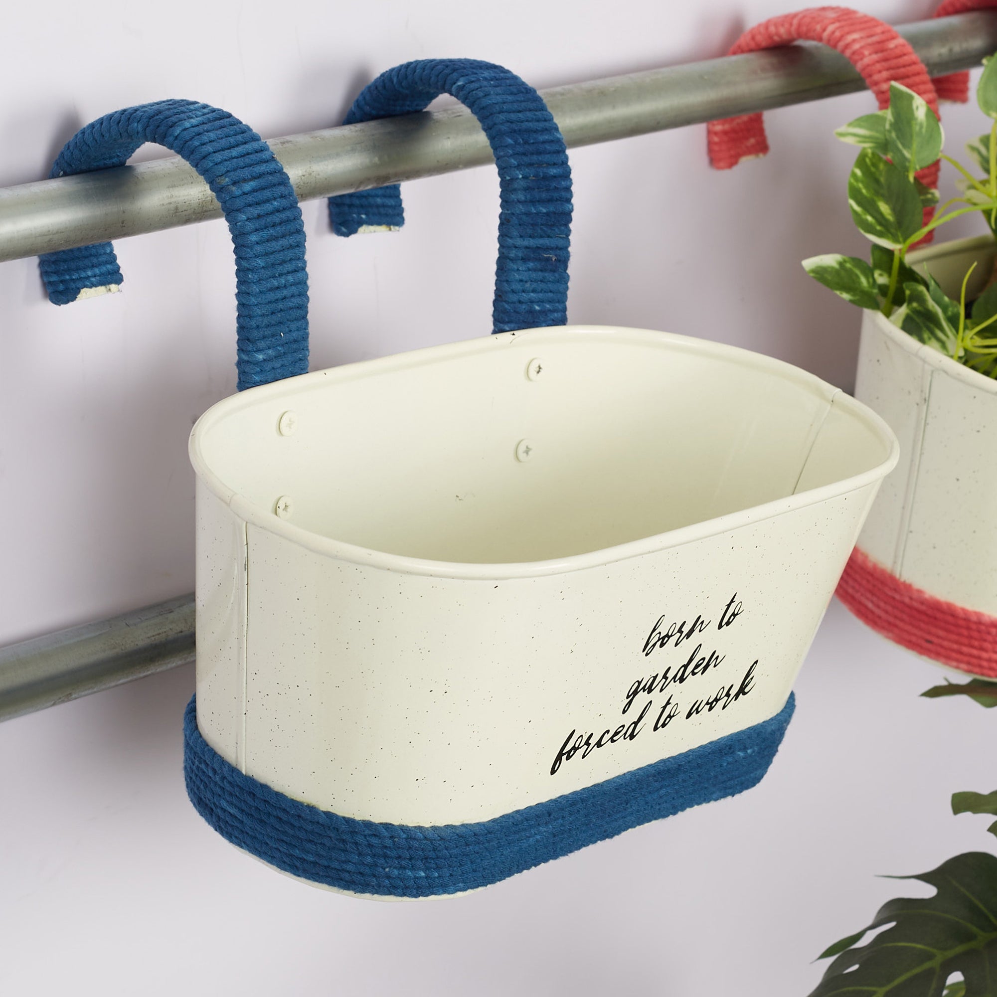 Pep Pop Metal Funky Quote Railing Planter 28X19Cm in Off White & Indigo Colour