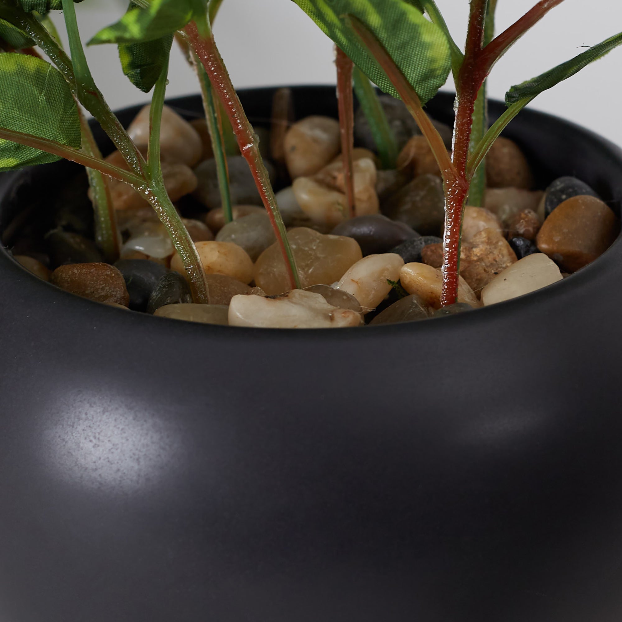 Ilana  Faux Peperomia Ceramic Potted Plant 27 Cm in Green Colour