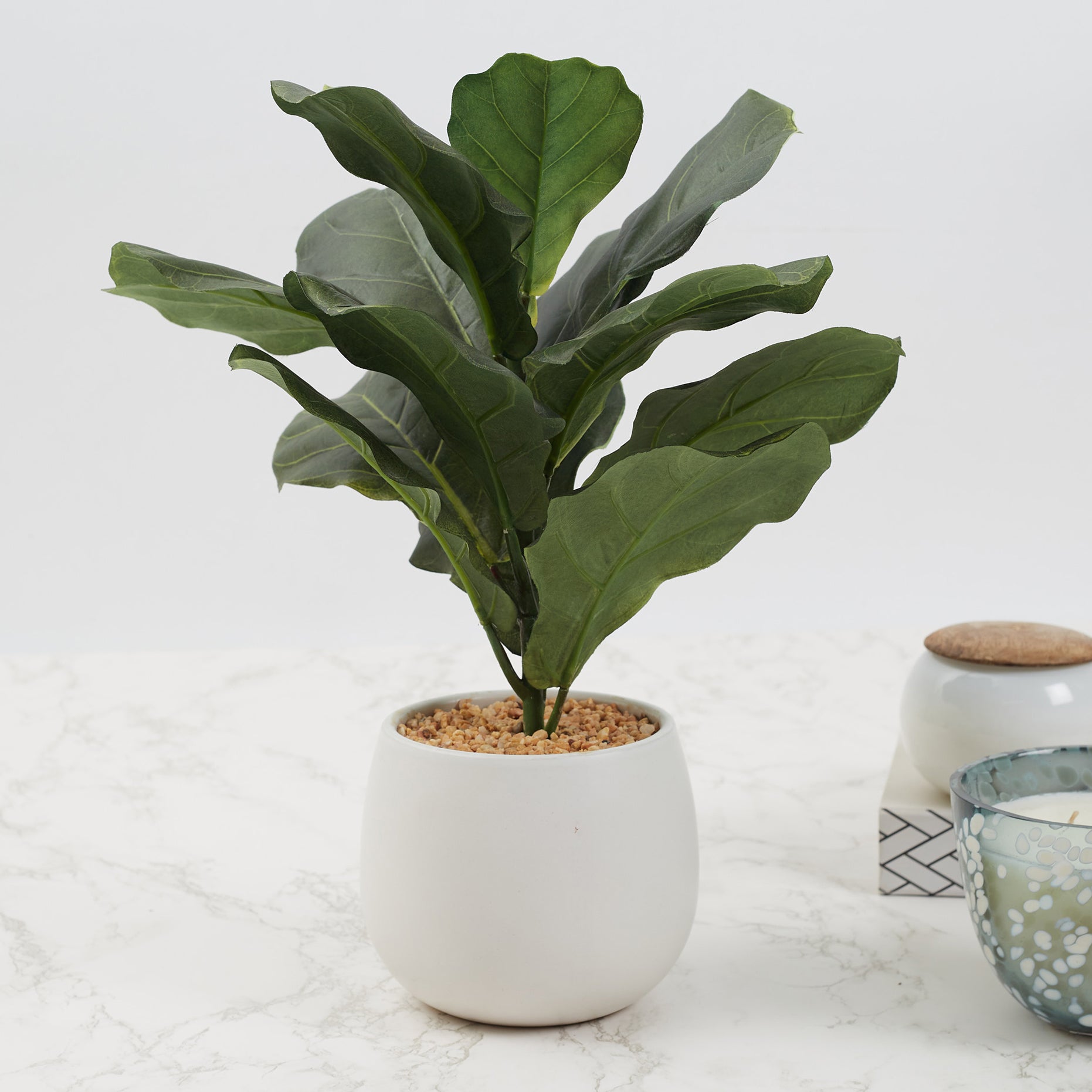 Ilana Faux Fiddle Ceramic Potted Plant 40 Cm in Green Colour