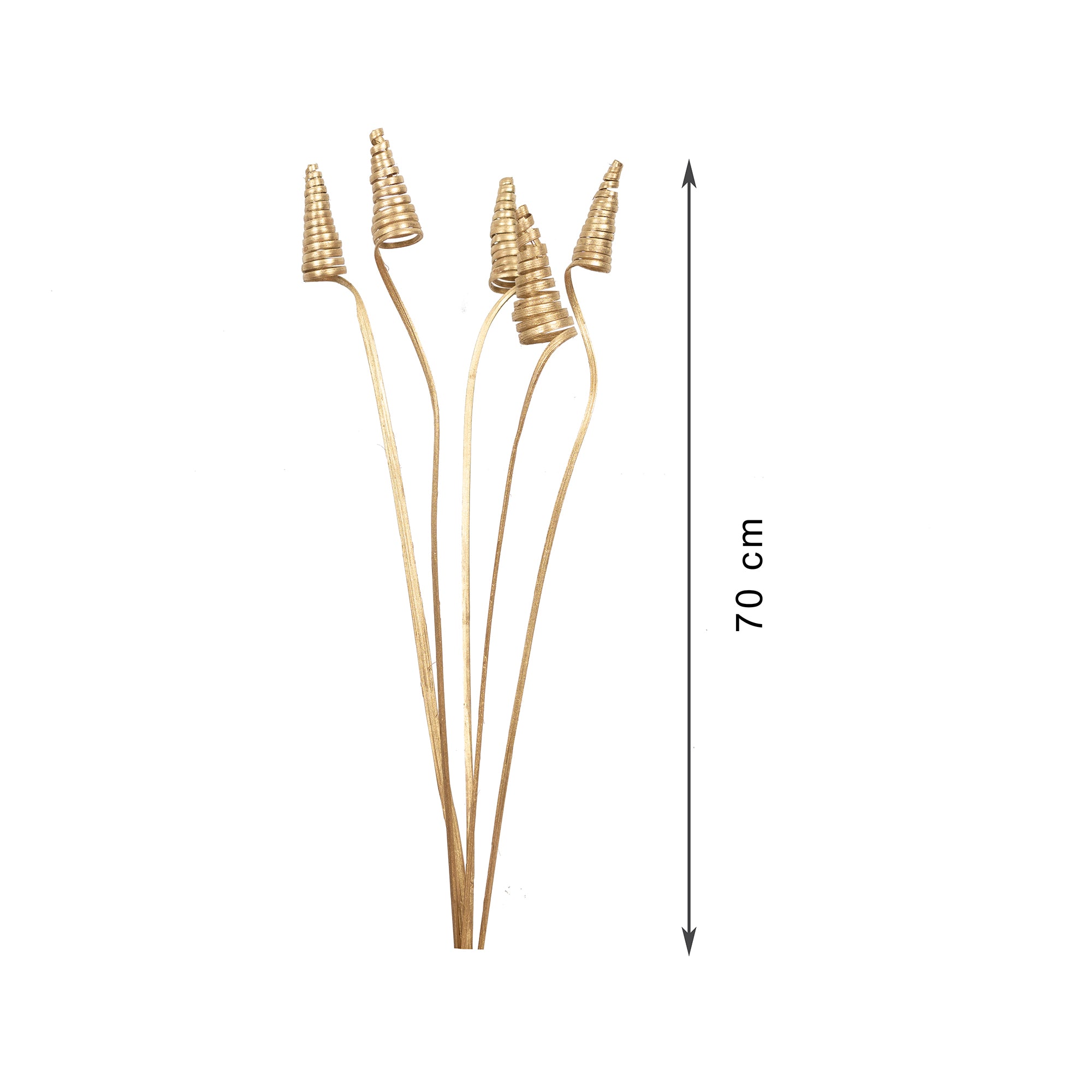 Fleur Dried Jumbo Cone Sticks 70Cm in Gold Colour