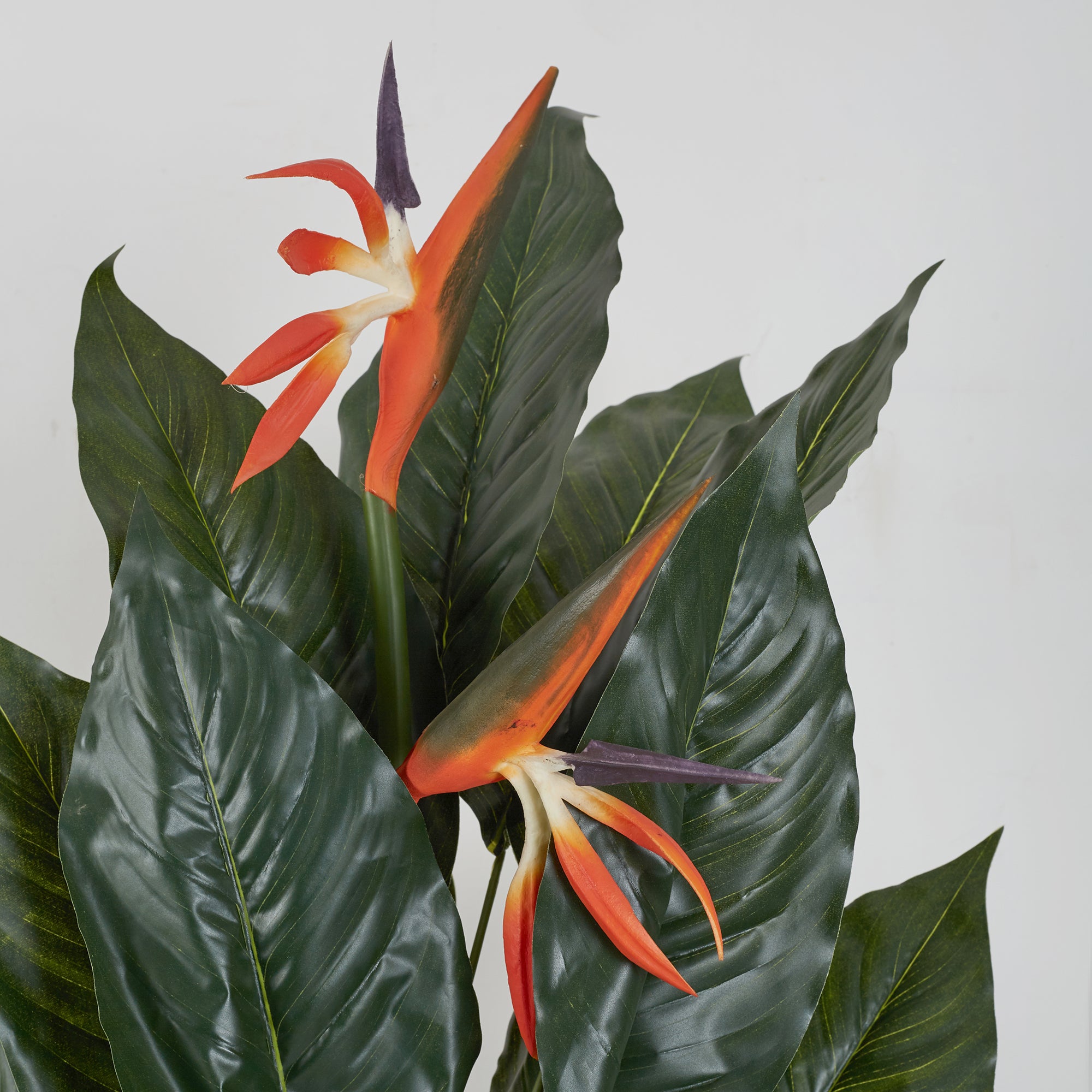 Ilana Artificial Paradise Bird Potted Plant 100Cm in Green Colour