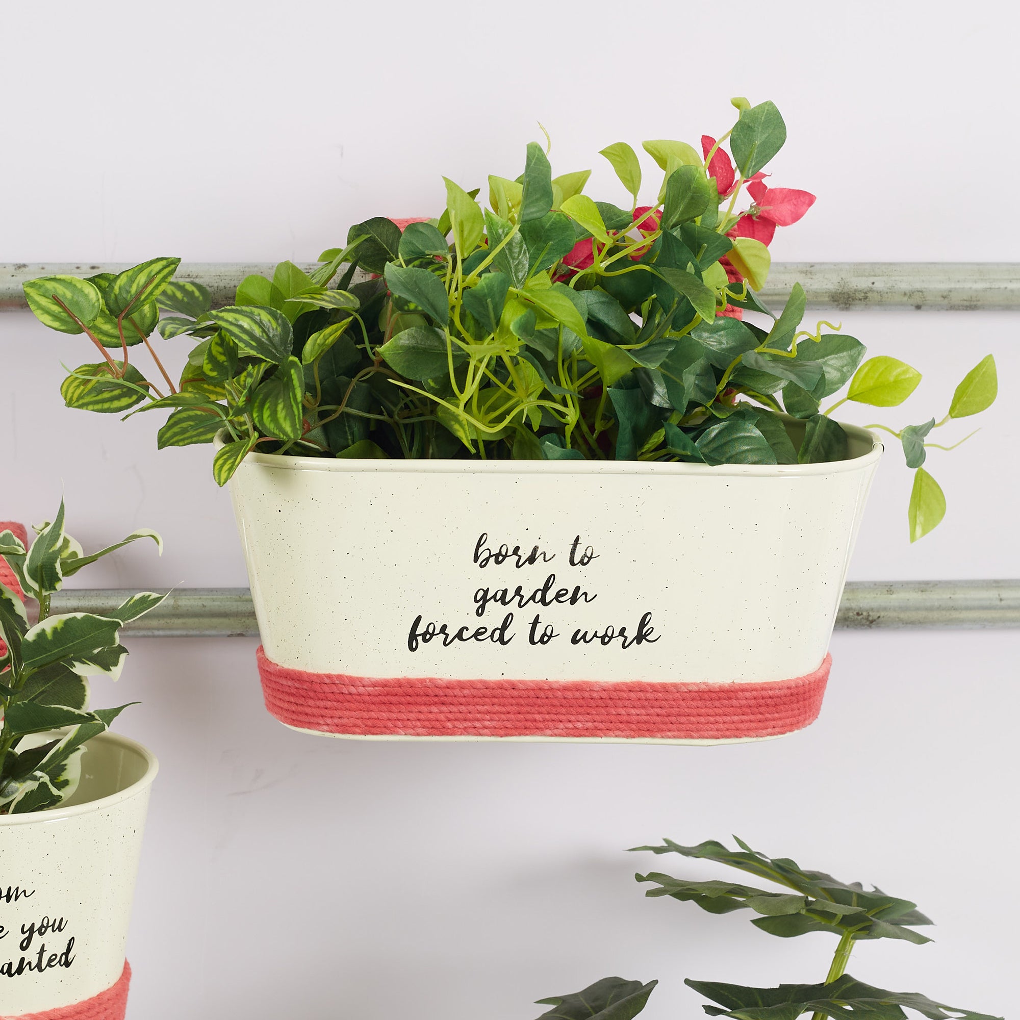 Pep Pop Metal Funky Quote Railing Planter 28X19Cm in Off White & Fuchsia Colour
