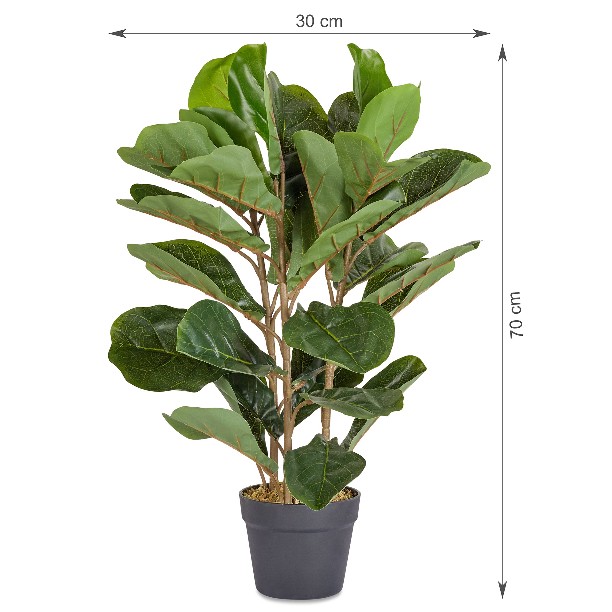 Ilana  Artificial Fiddle Potted Plant 70Cm in Green Colour