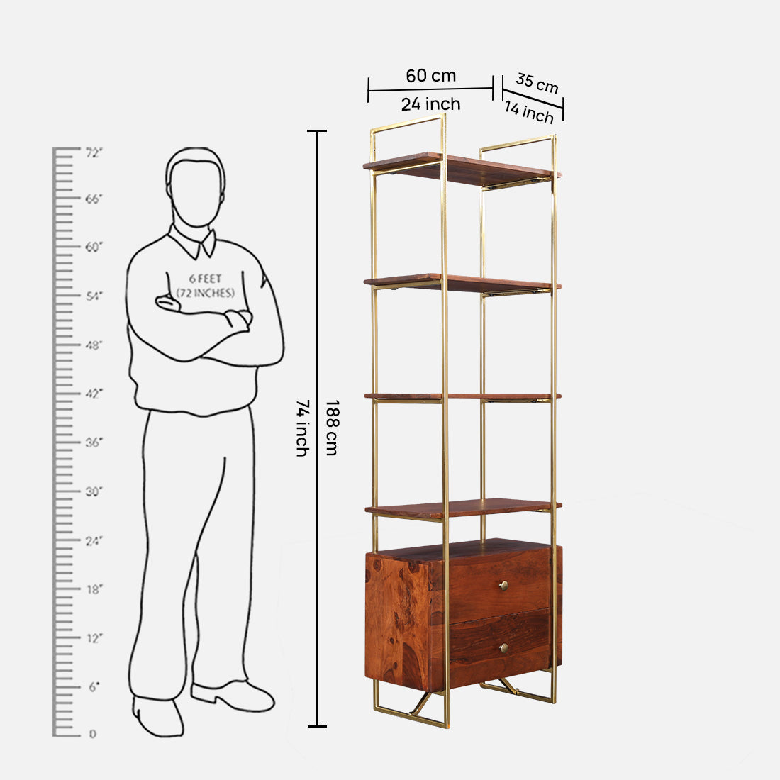 Alviya Book Shelves in Natural & Gold Colour