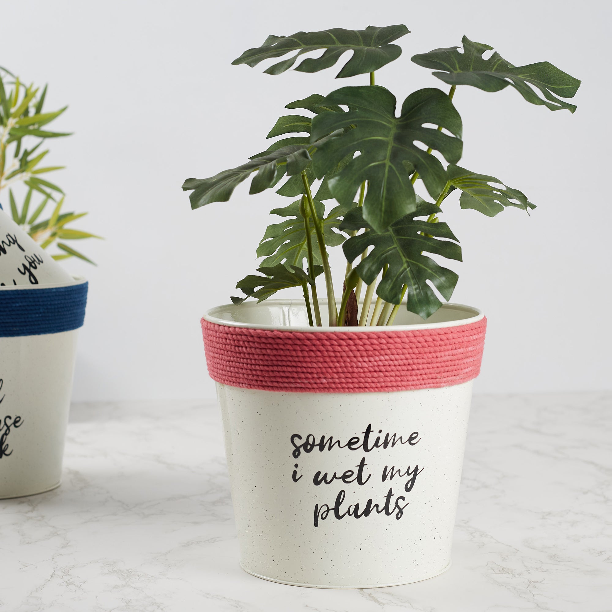 Pep Pop Metal Funky Quote Planter 19Cm in Off White & Fuchsia Colour