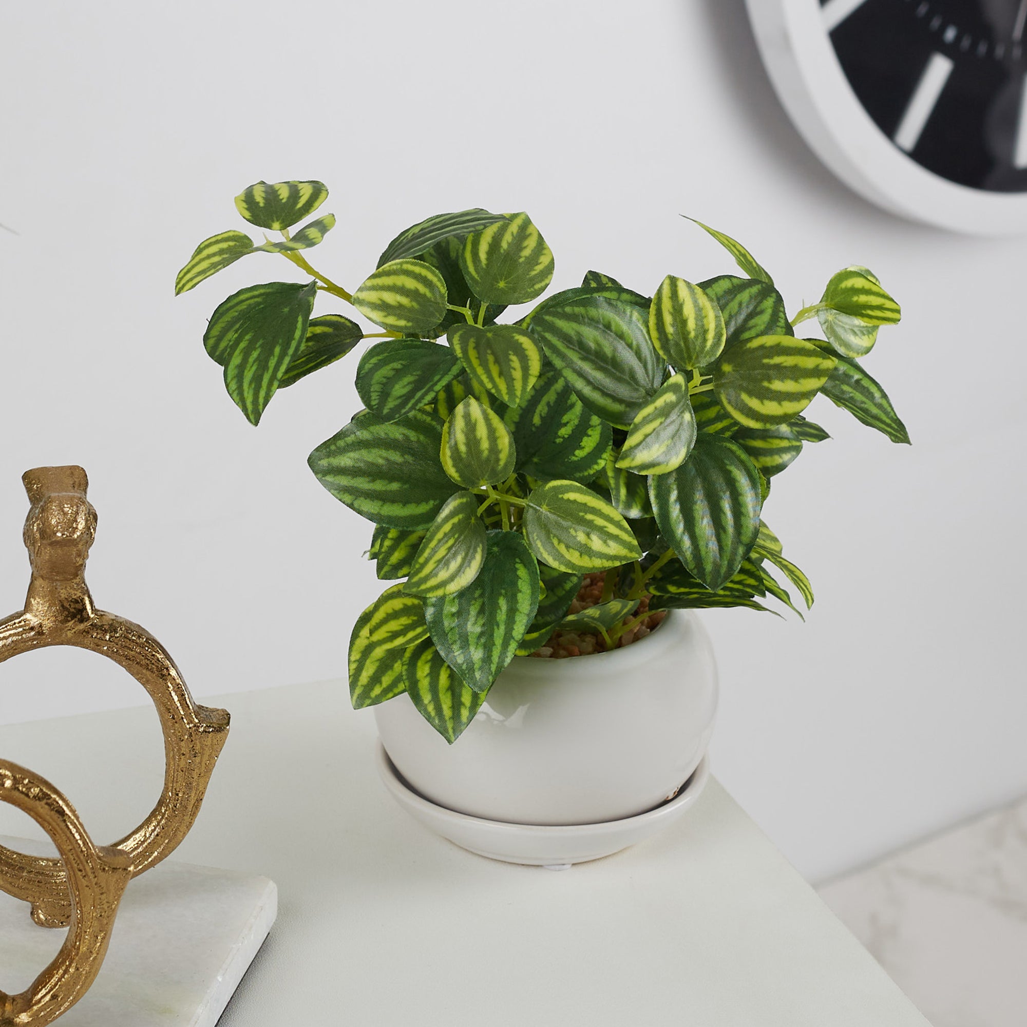 Ilana Faux Peperomia Ceramic Potted Plant 24 Cm in Green Colour