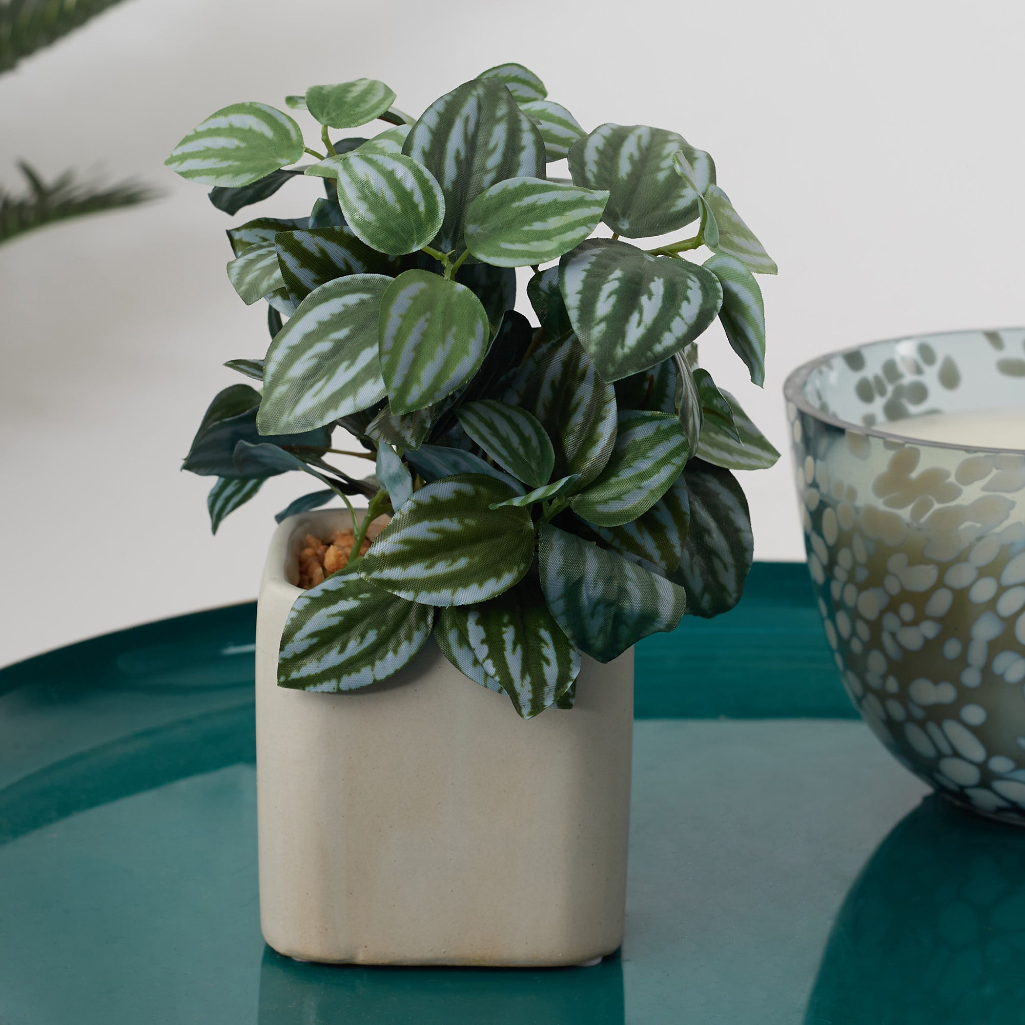 Ilana Faux Peperomia Ceramic Potted Plant 20 Cm in Green Colour