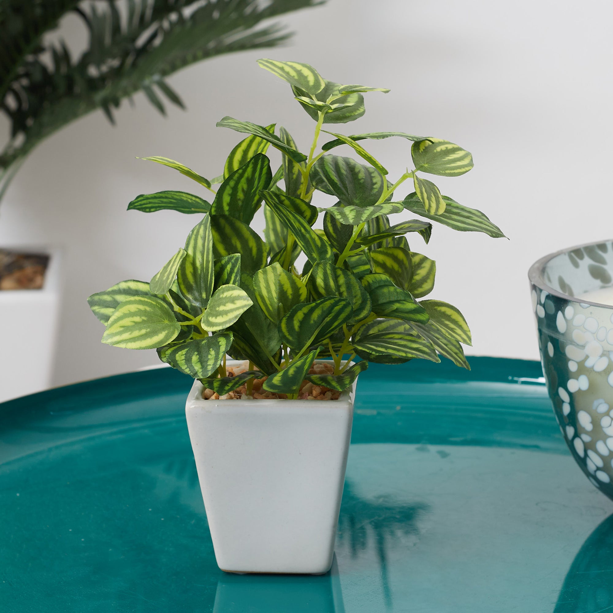 Ilana  Faux Peperomia Ceramic Potted Plant 19 Cm in Green Colour