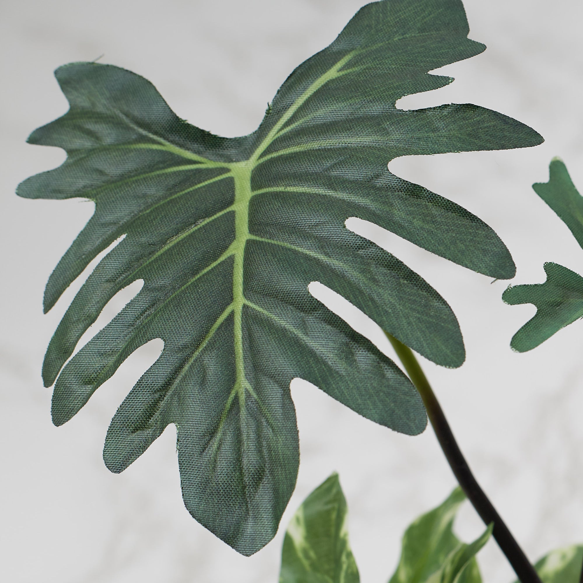 Ilana Faux Philodendron Ceramic Potted Plant 23 Cm in Green Colour