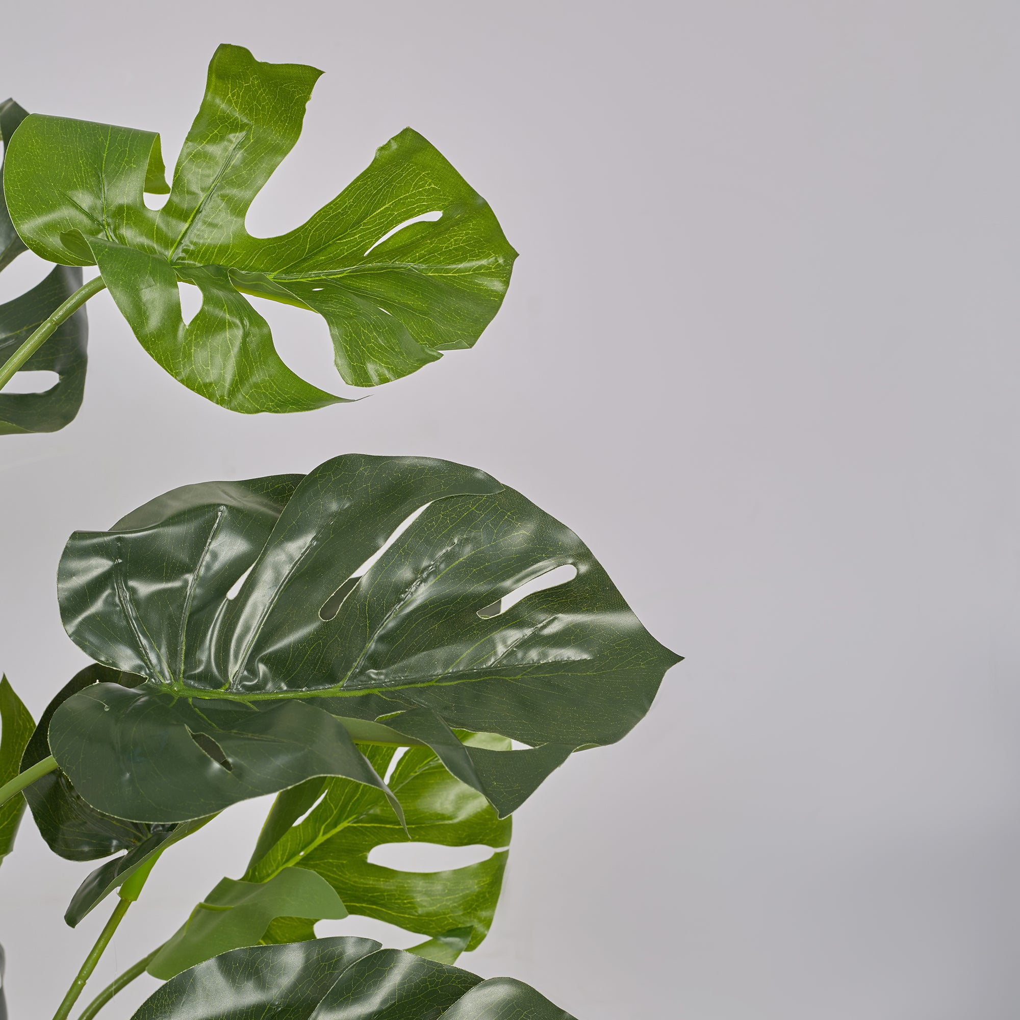 Ilana Artificial Monstera Potted Plant 120Cm in Green Colour