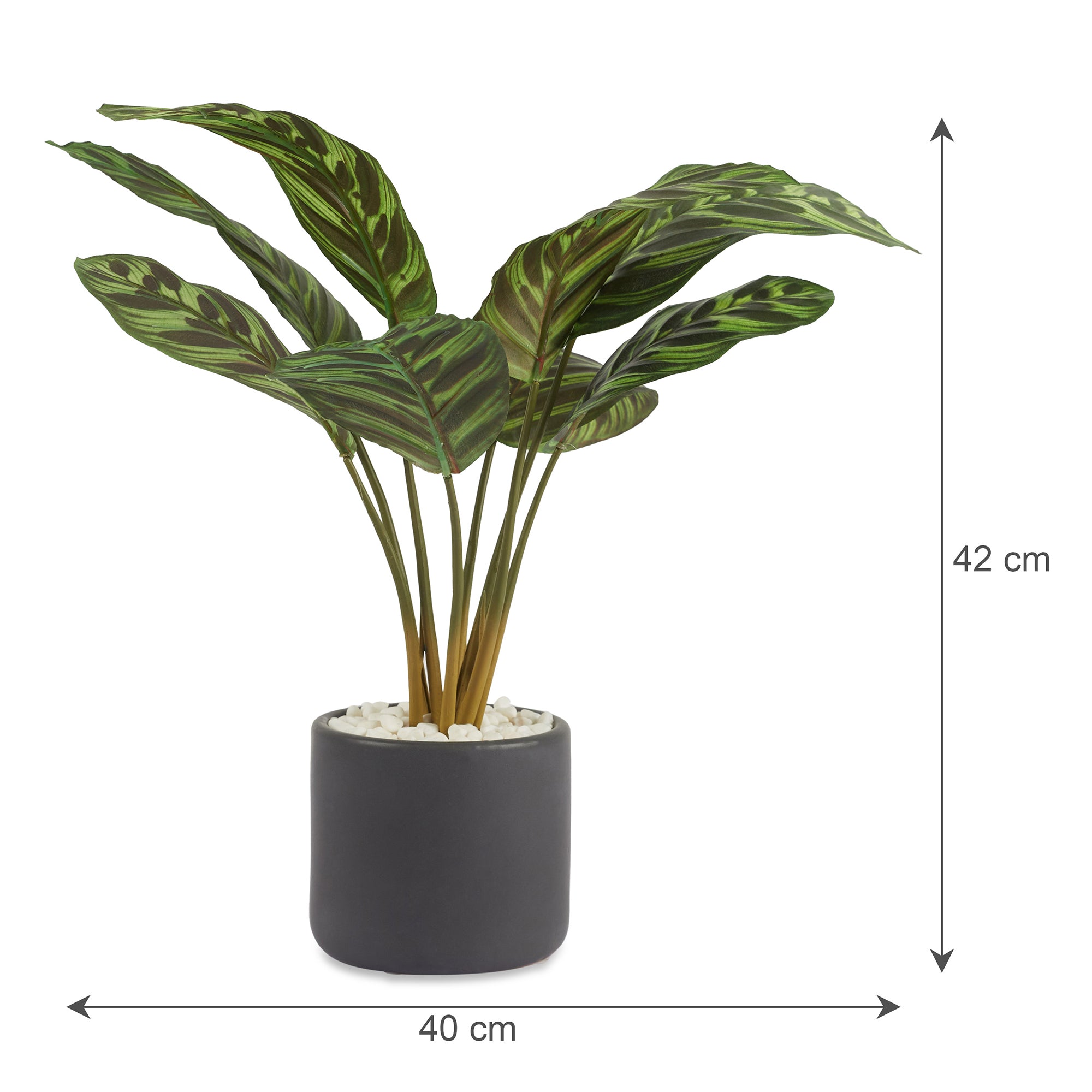 Ilana Faux Calathea Ceramic Potted Plant 42 Cm in Green Colour