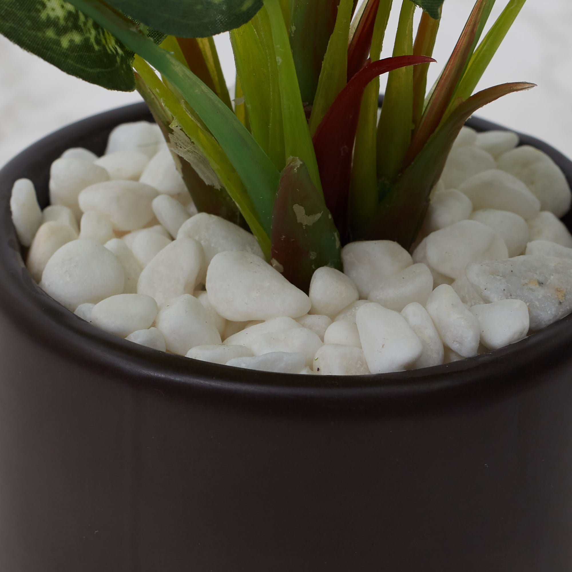 Ilana  Faux Dieffnbchia 1 Ceramic Potted Plant 25 Cm in Green Colour